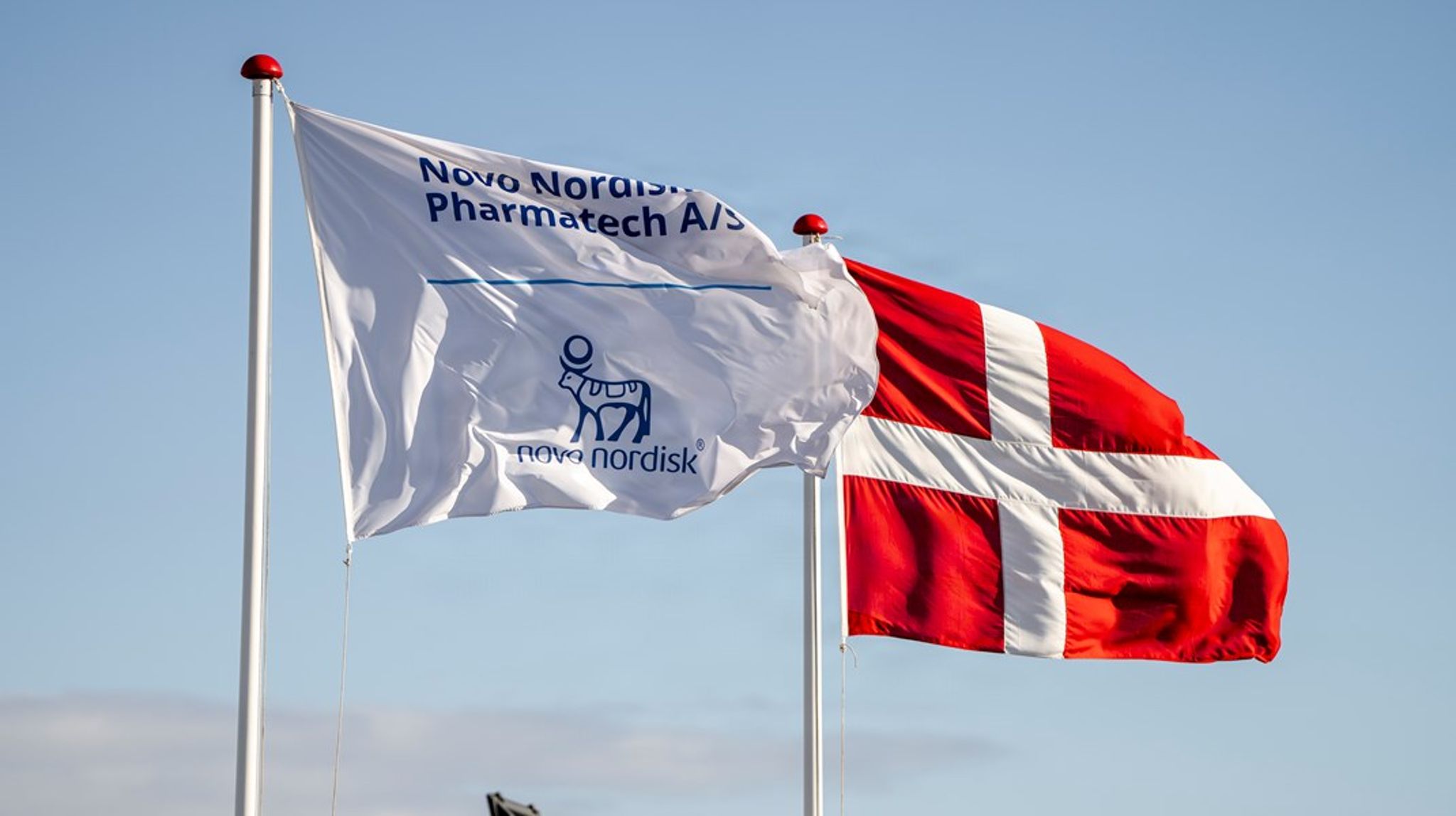 Ulla Grove Krogsgaard Thomsen stopper som topchef for Novo Nordisk Pharmatech.