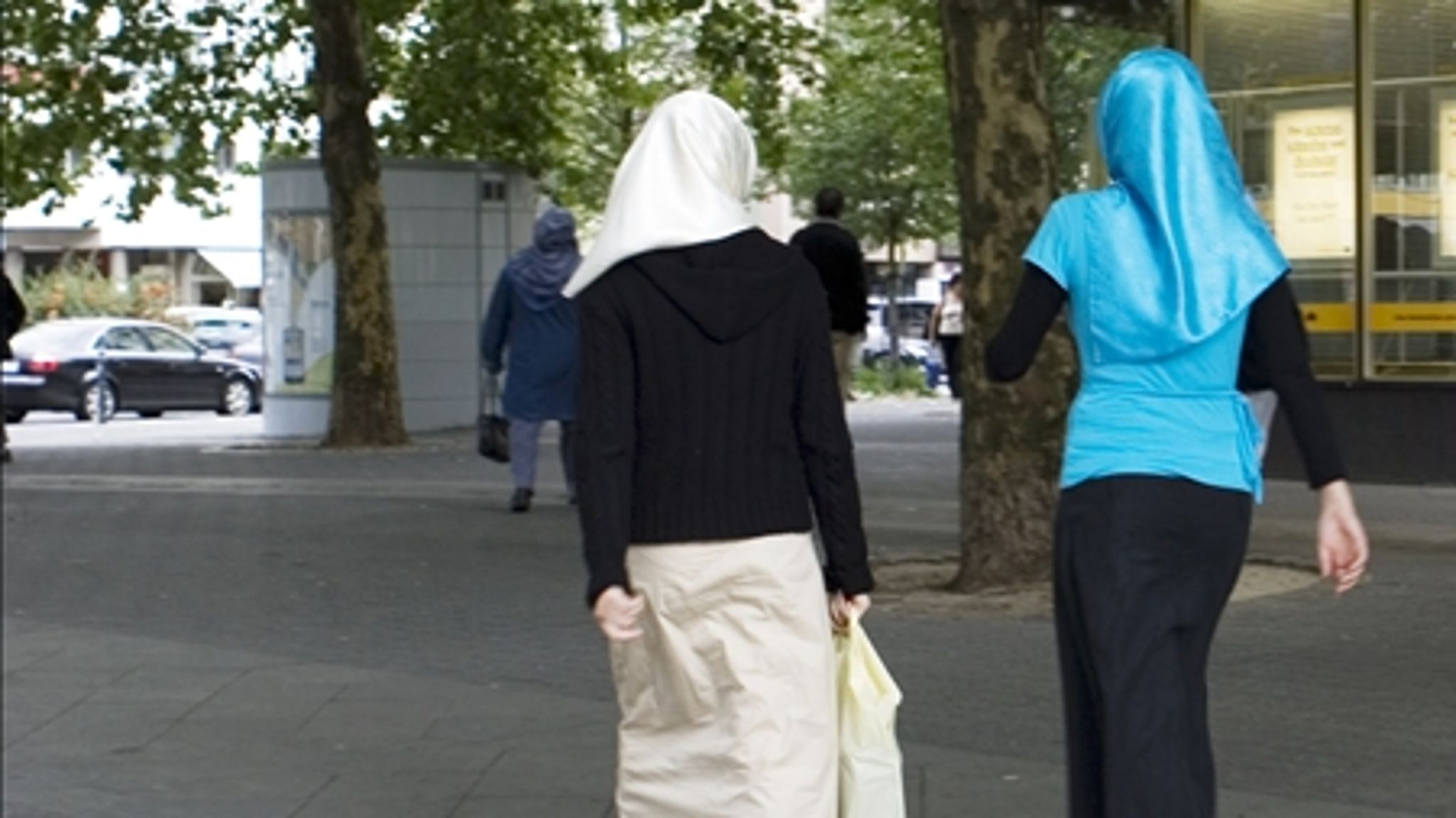 Den kommunale integrationsindsats kan blive langt bedre, hvis kommunerne nedsætter integrationsudvalg, mener formand for Rådet for Etniske Minoriteter.