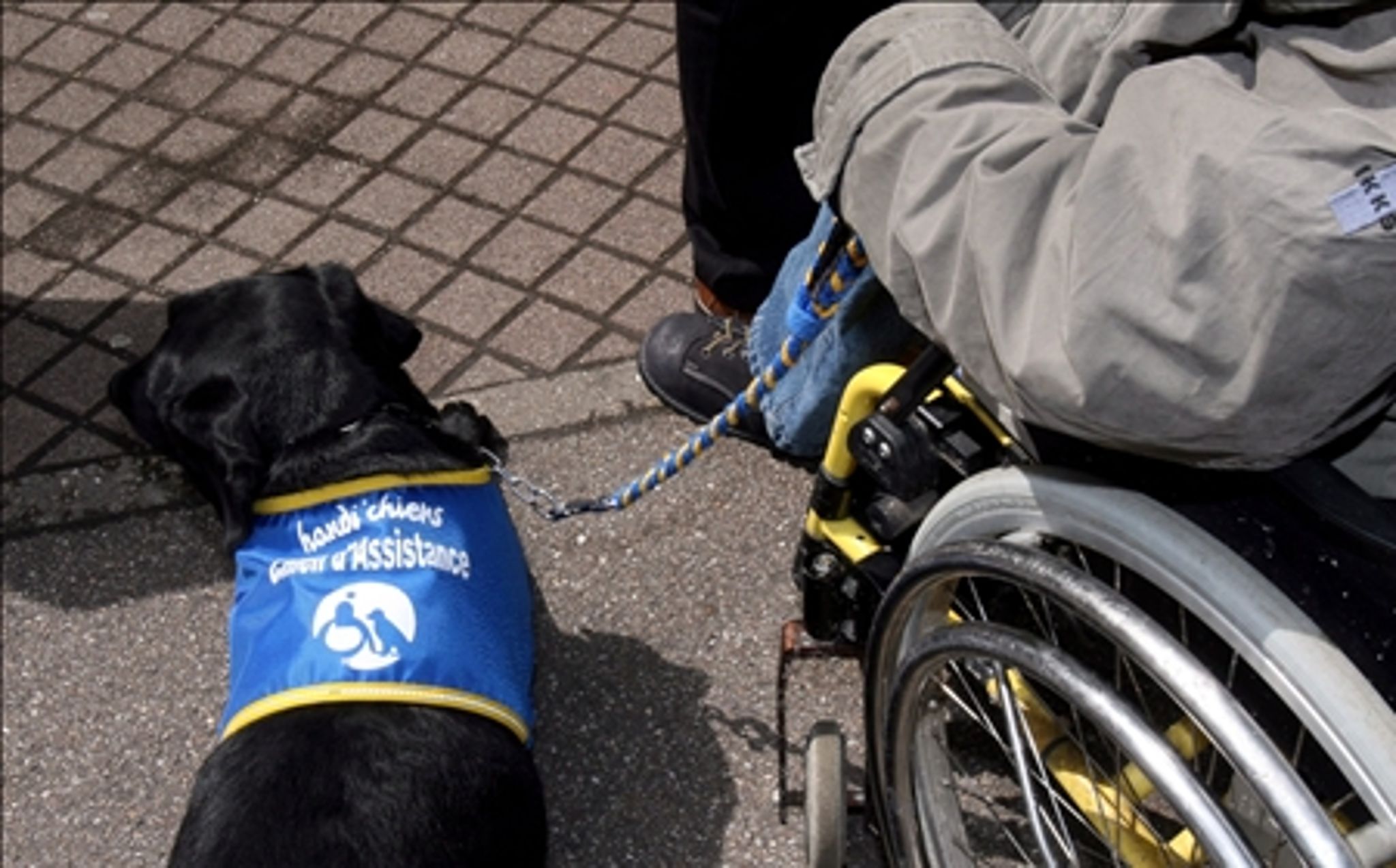 Den nationale Videns- og Specialrådgivningsorganisation (VISO) rådgiver i komplekse og specialiserede sager om handicap.