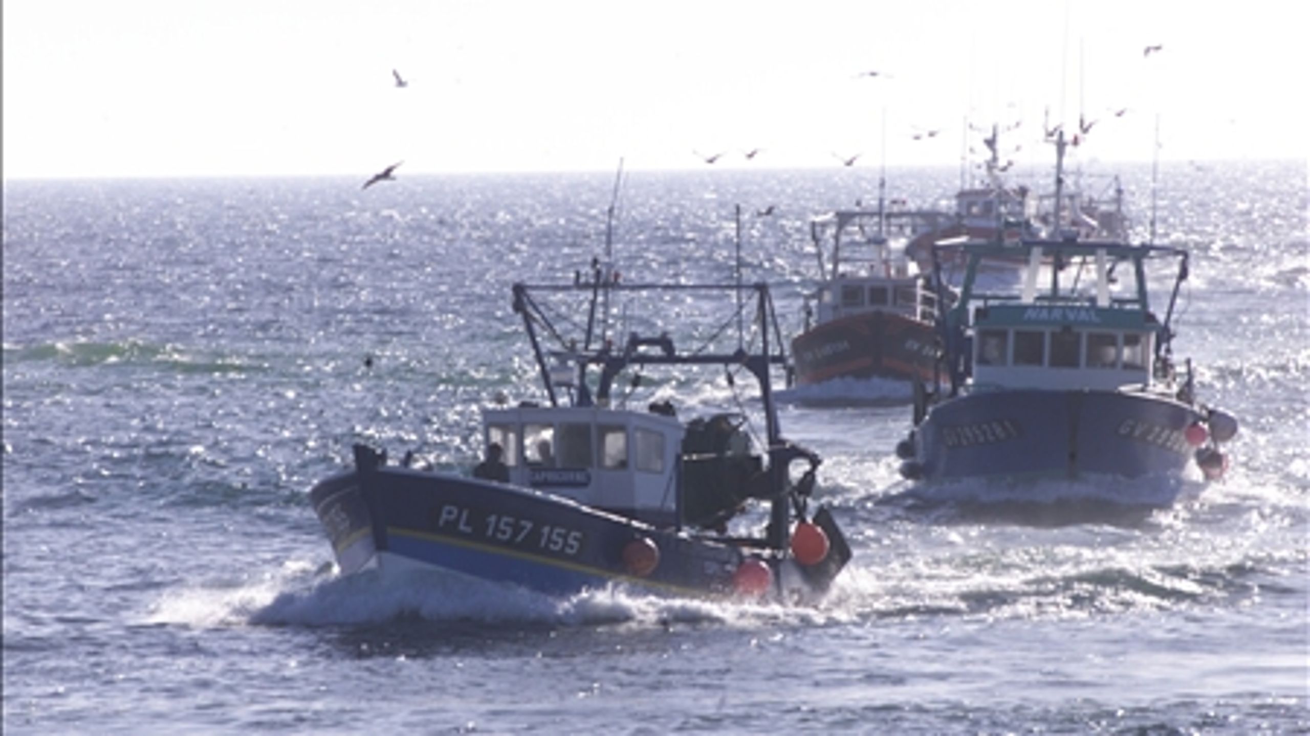 Debatten om muslingefiskeriets skader på naturen er igen blusset op, efter Fødevareministeriet har givet tilladelse til muslingeskrab i to beskyttede områder i Lillebælt.