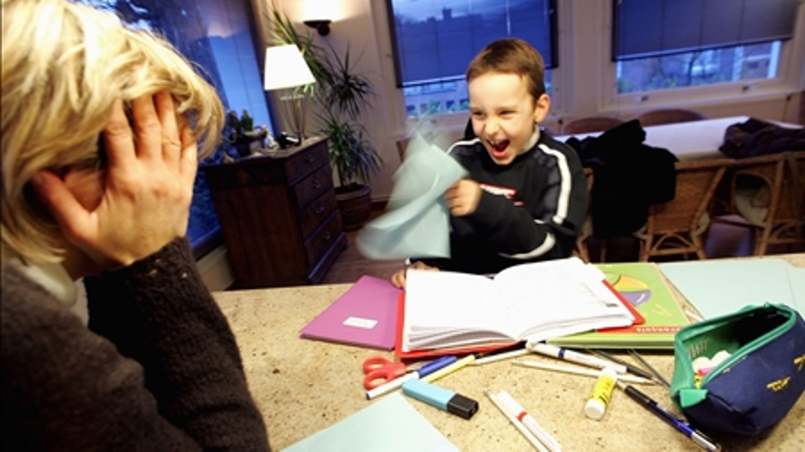 Børnerådet vil gerne have udvidet sit kompetenceområde til også at omfatte enkeltsager.