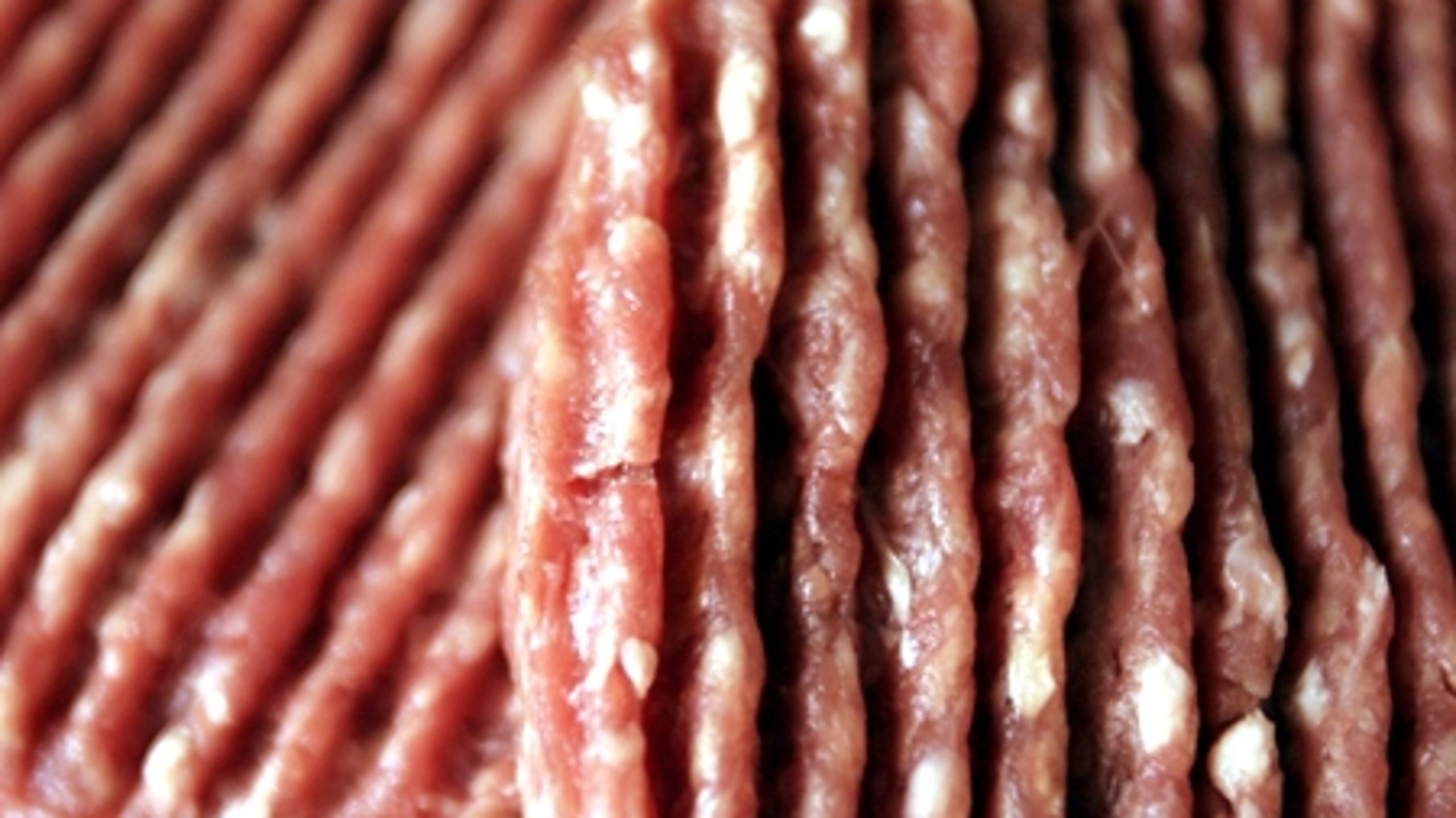 Dansk Folkeparti er uenig med regeringen omkring ændringer i kødkontrollen. Nyt møde i sagen i dag, torsdag.