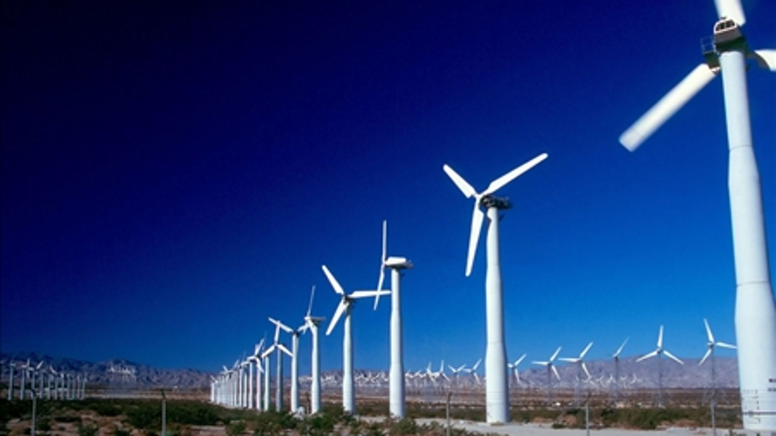 Placeringen af testcenter vil skade naturområder, mener organisationer. Troels Lund har selv udpeget område i naturkanon.