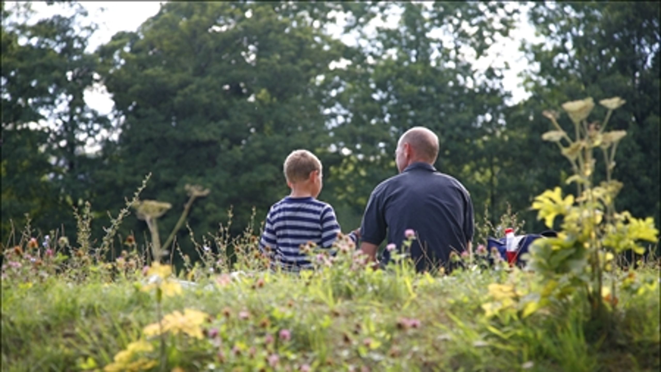 Flere grønne organisationer ønsker utvetydige krav om erstatningsskov.