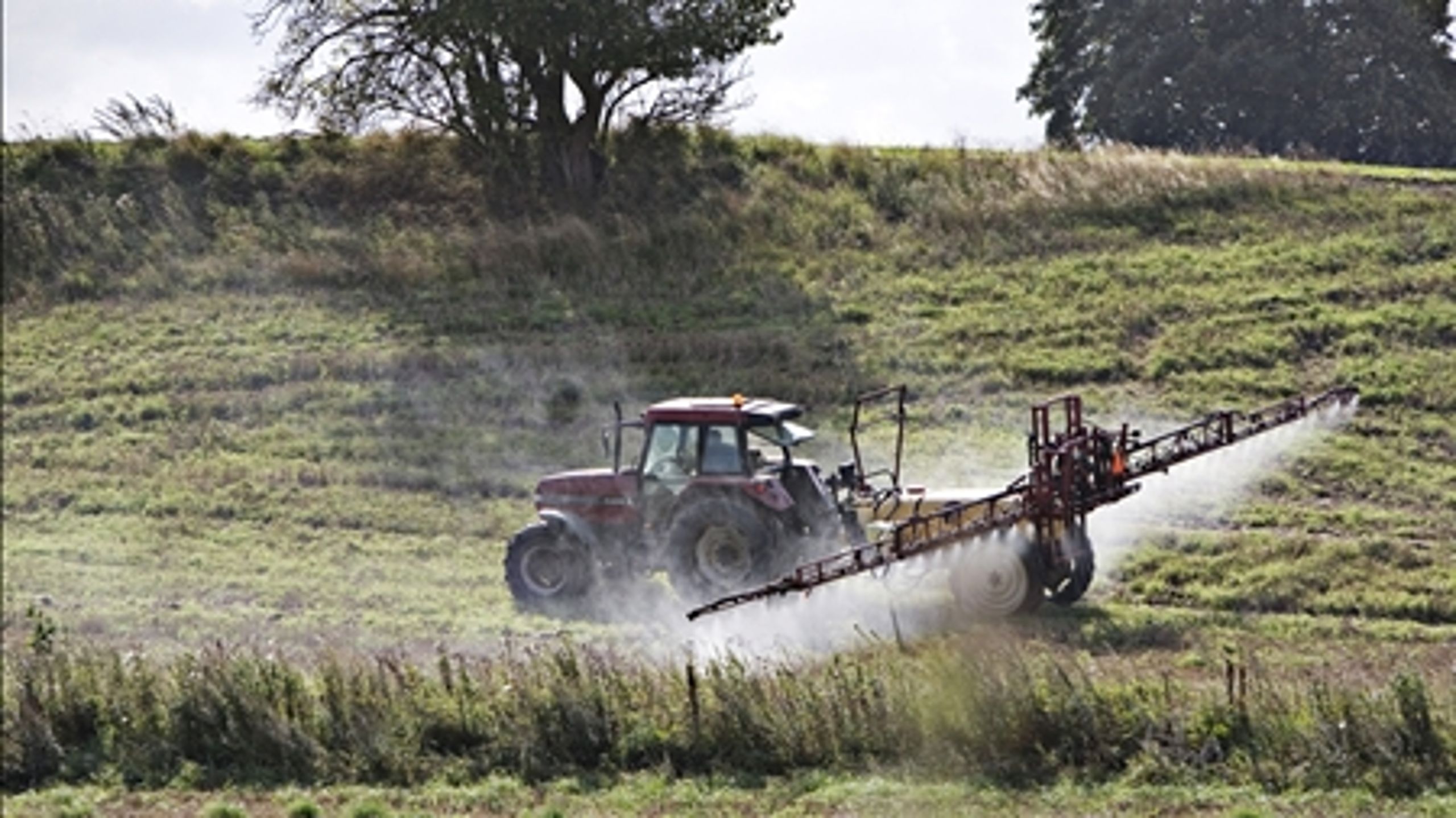 Tirsdag blev liberaliseringen af landbrugsloven vedtaget. Flere af naturtiltagene i Grøn Vækst er derimod blevet udsat - det gælder flere forslag, som skulle skaffe ny natur, blandt andet randzoner og ådale.