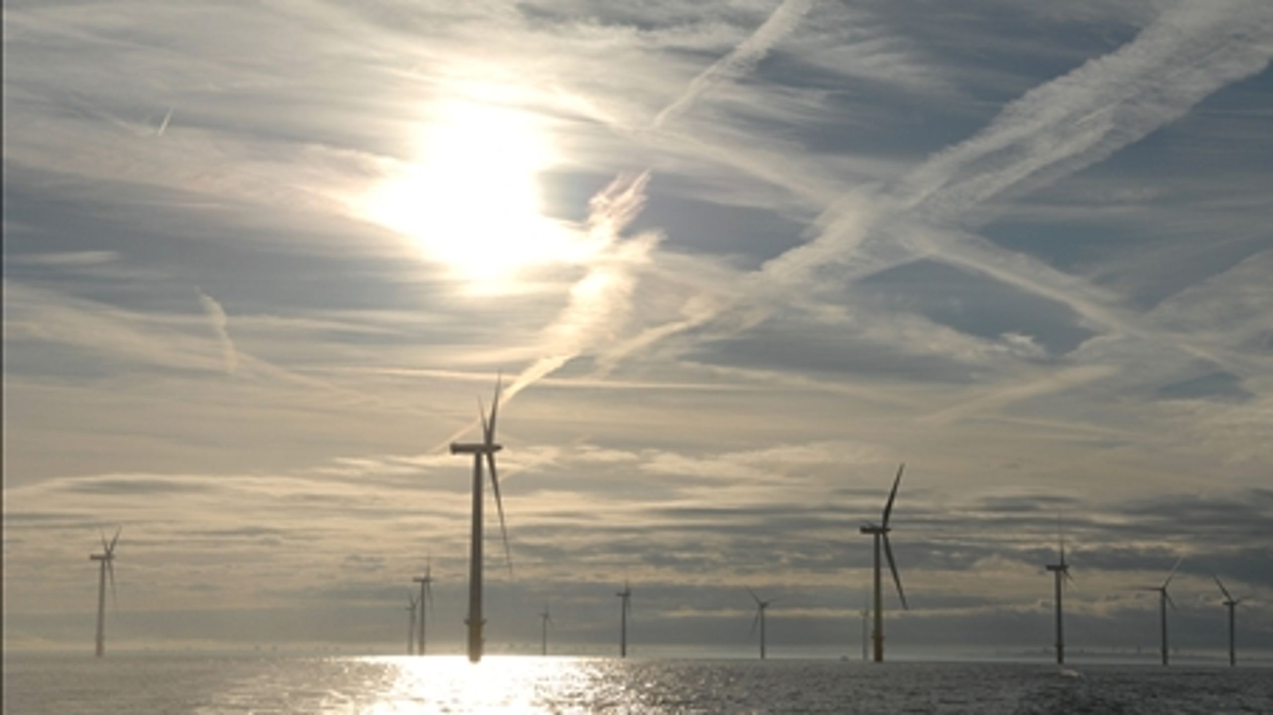 DMU mener, at der er flere fejl og mangler i VVM-redegørelsen for havvindmølleparken ved Anholt.