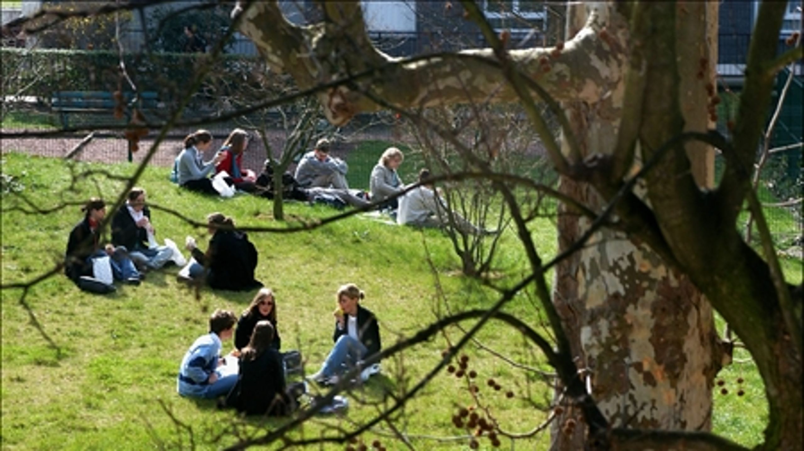 Mange studerende bekymrer sig om SU'en, som regeringen vil justere. Blandt andet derfor er det "dårlig stil" af Undervisningsministeriet, at de ikke indkalder til møder i forligskredsen, mener Nanna Westerby (SF).