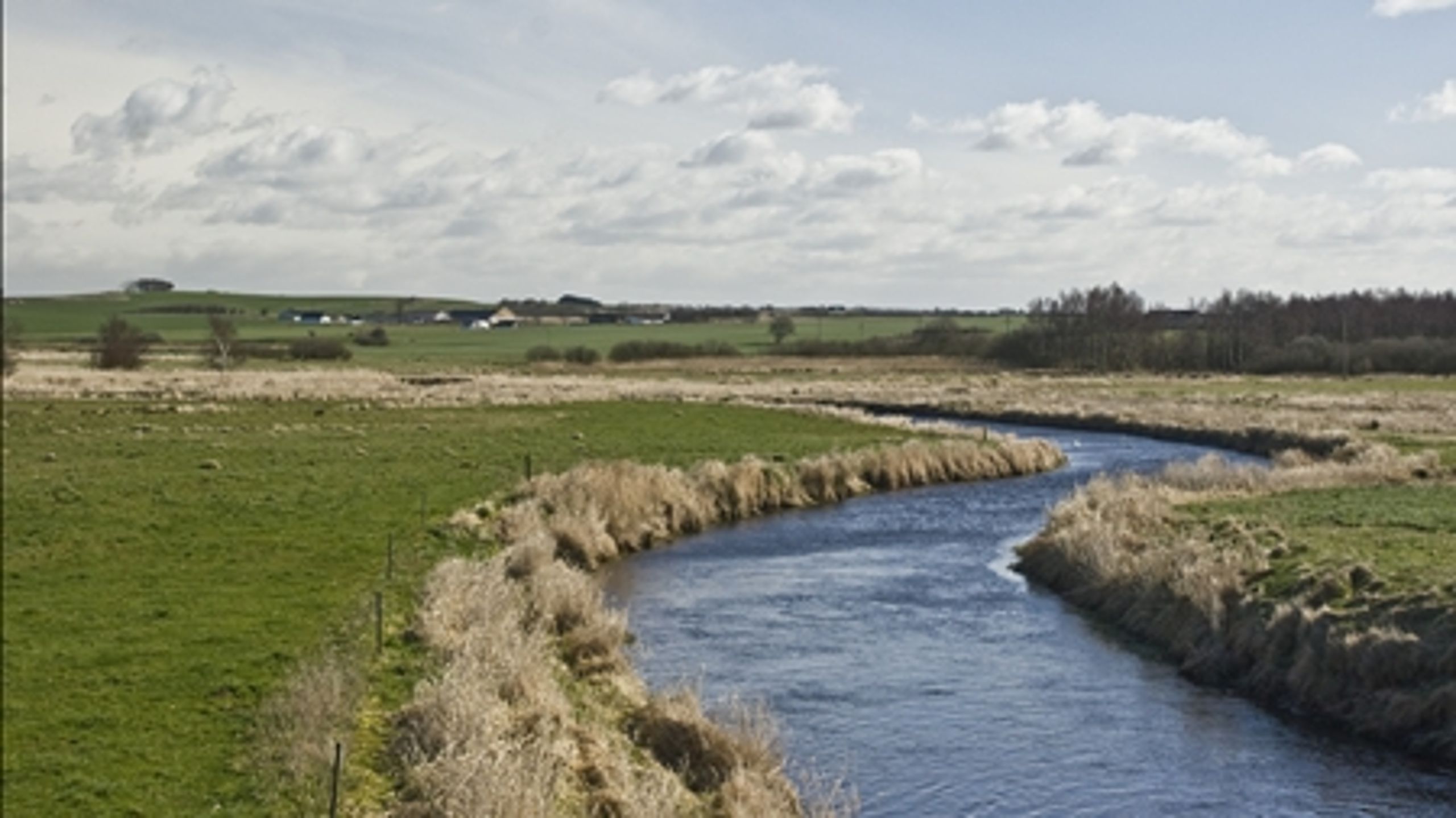 Reglerne om erstatning for oversvømmelser som følge af reduceret vandløbsvedligeholdelse vil give ballade, frygter både KL og DN.