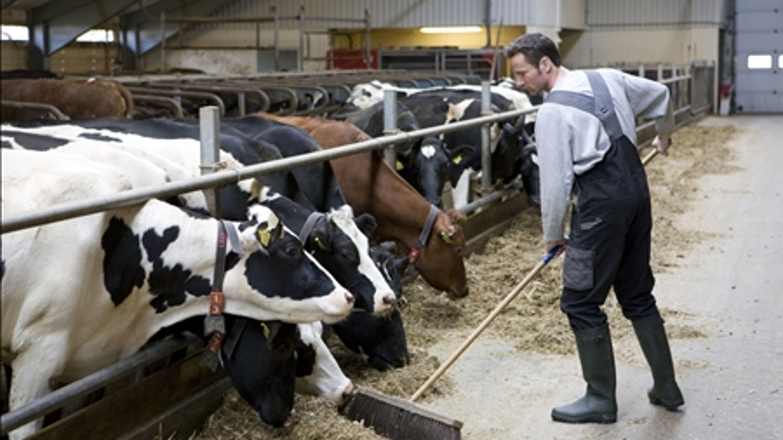 En række præciseringer gør, at husdyrloven nu ser ud til at kunne blive vedtaget. 