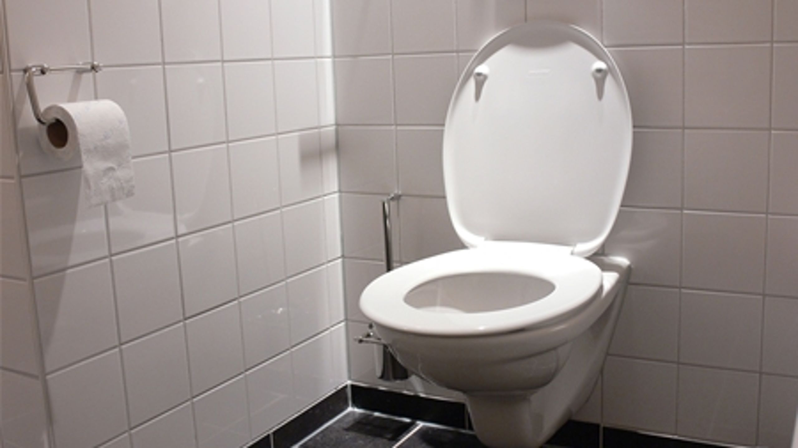 Hvor svært kan det være? Servicestyrelsens ”begrebssekretariat” fandt det formålstjenstligt at sende begreber som ”toiletbesøg” i offentlig høring.
