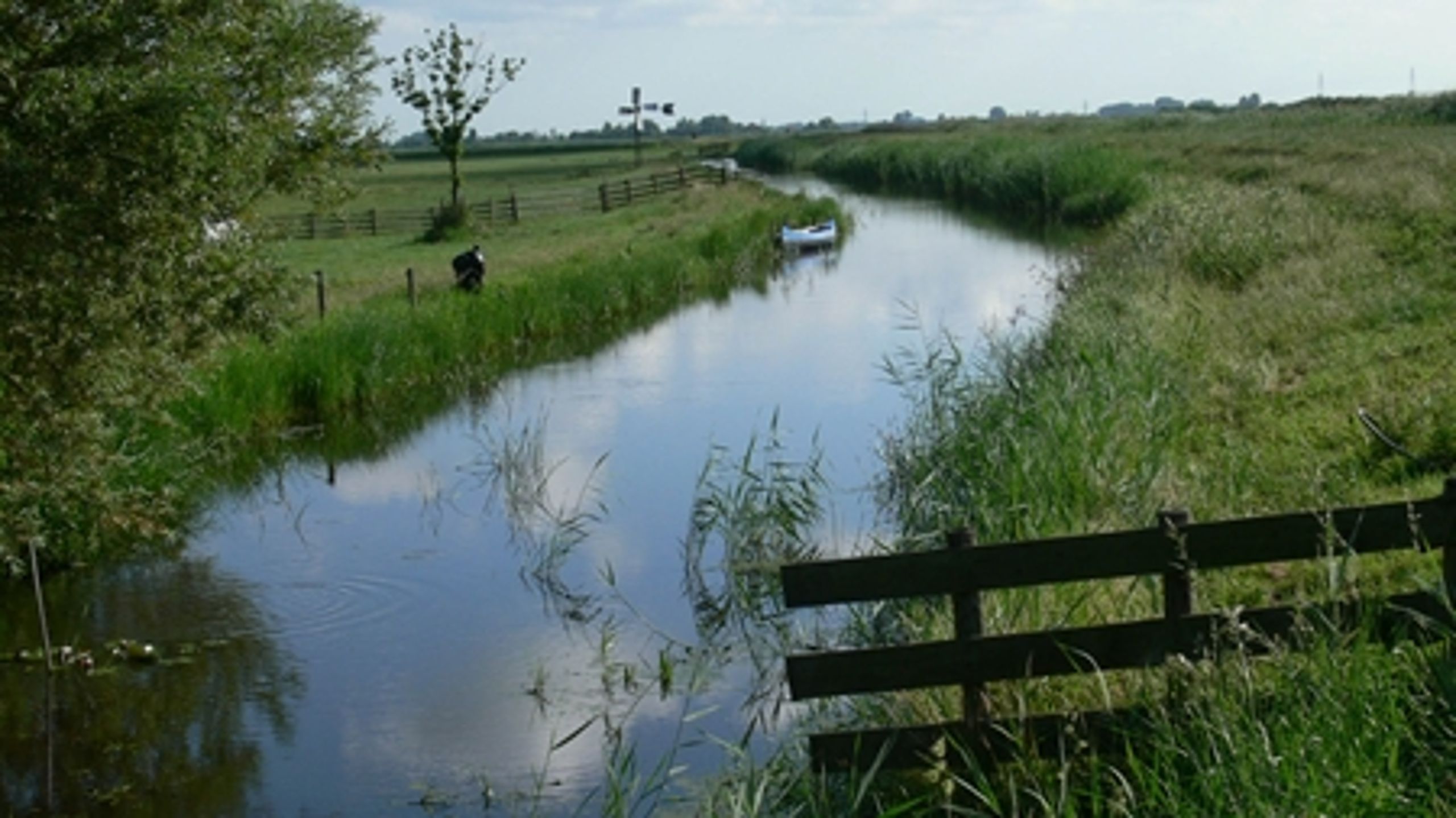 Regeringen og Dansk Folkeparti vil ændre vandløbsloven, så det ikke er muligt for kommunerne at privatisere offentlige vandløb for at spare penge.