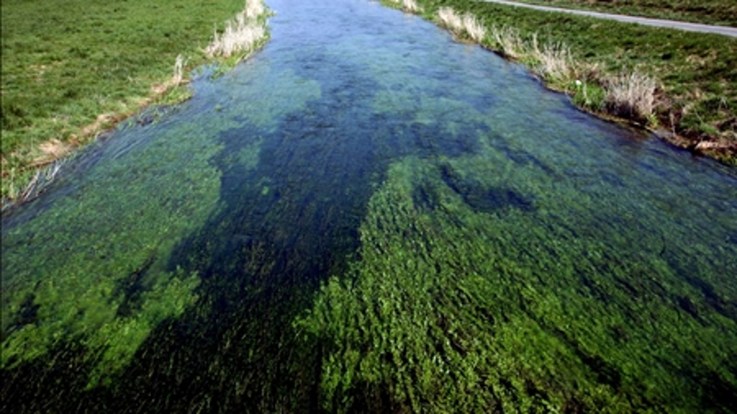Det politiske slagsmål om, hvor meget kvælstof der skal reduceres for at forbedre vandmiljøet, fortsætter.