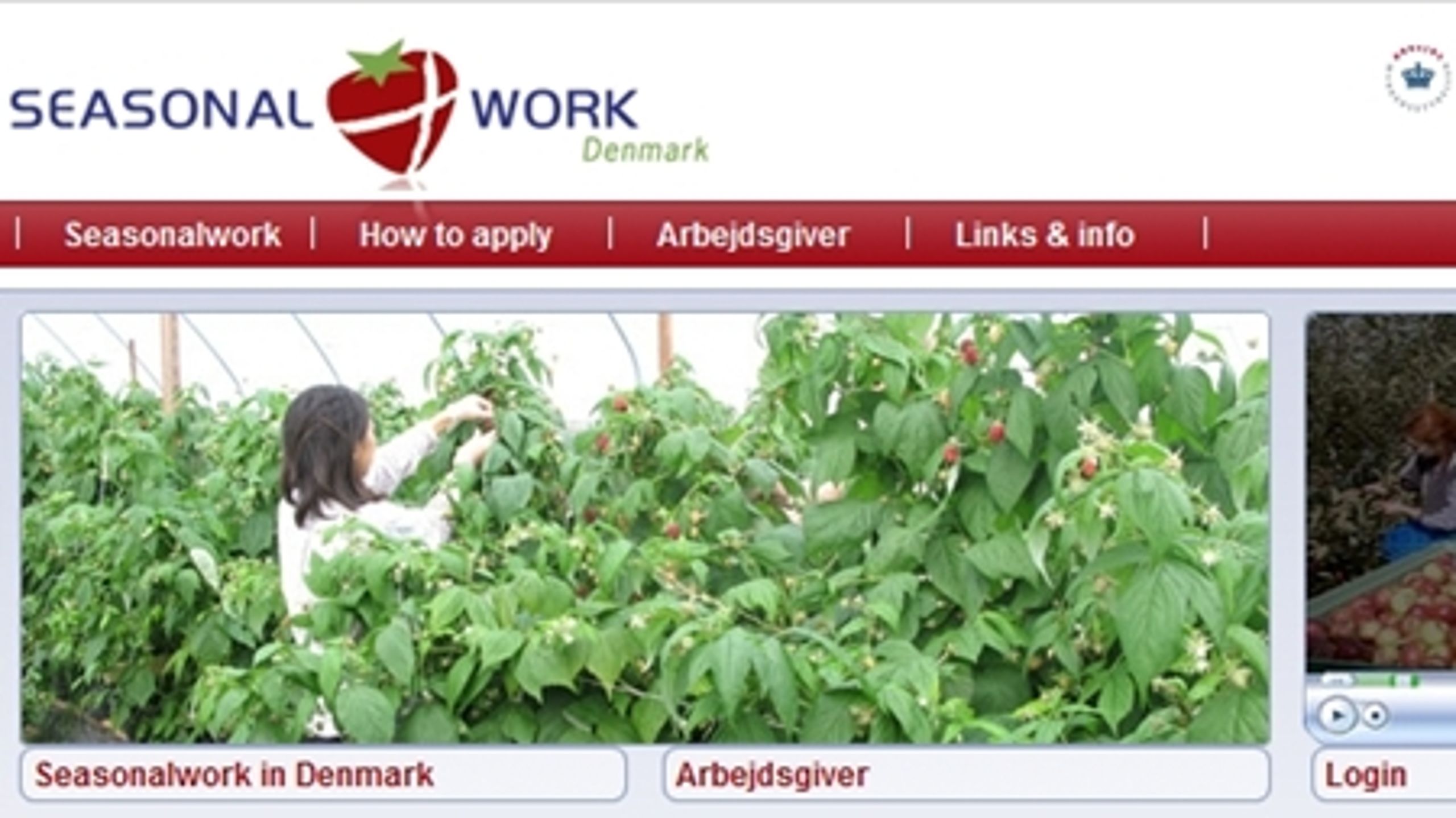 Arbejdsmarkedsstyrelsen ved ikke, hvem der har skrevet misvisende råd, som har ligget på hjemmesiden seasonalwork.dk. Det er et brud på god forvaltningsskik, lyder det fra en ekspert.