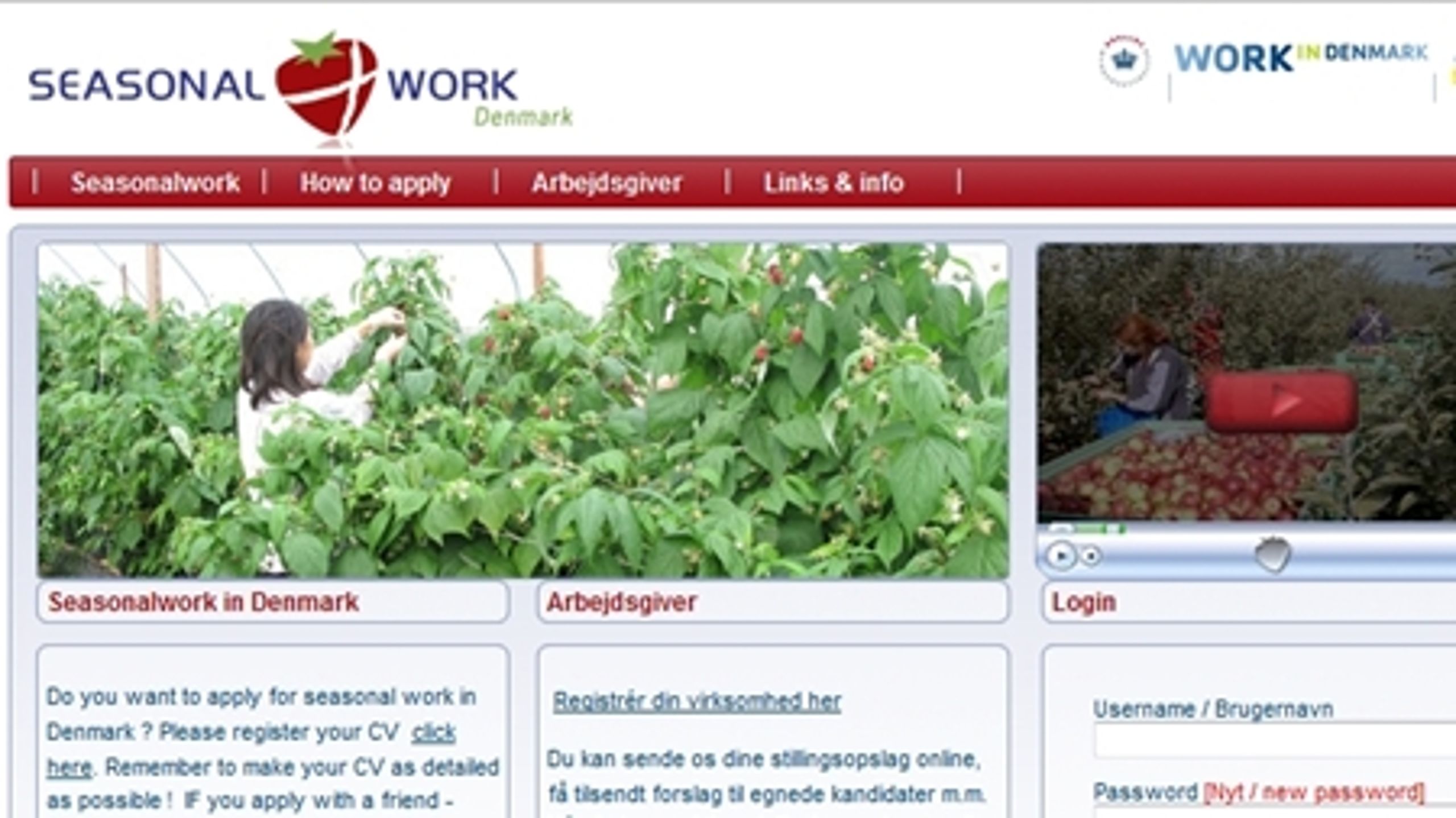 Arbejdsmarkedsstyrelsen kan godt placere et internt ansvar for, at misvisende råd fandt vej til hjemmesiden seasonalwork.com.