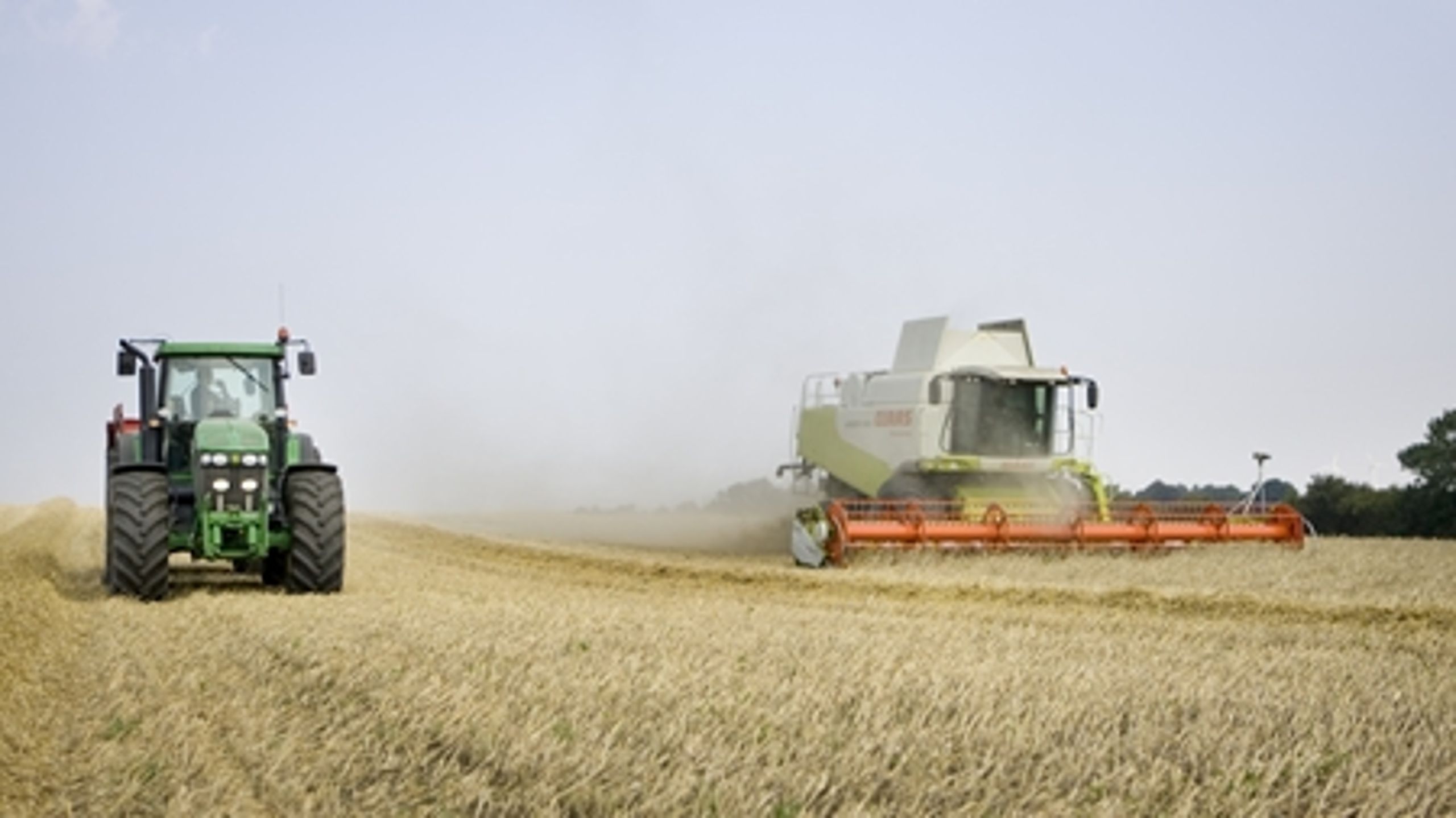 Konservatives miljøordfører Tage Leegaard understreger, at ingen landmænd i nationalparkerne skal tvinges til naturomstilling - og at udsigten til mere naturkvalitet derfor godt kan være flere hundrede år.