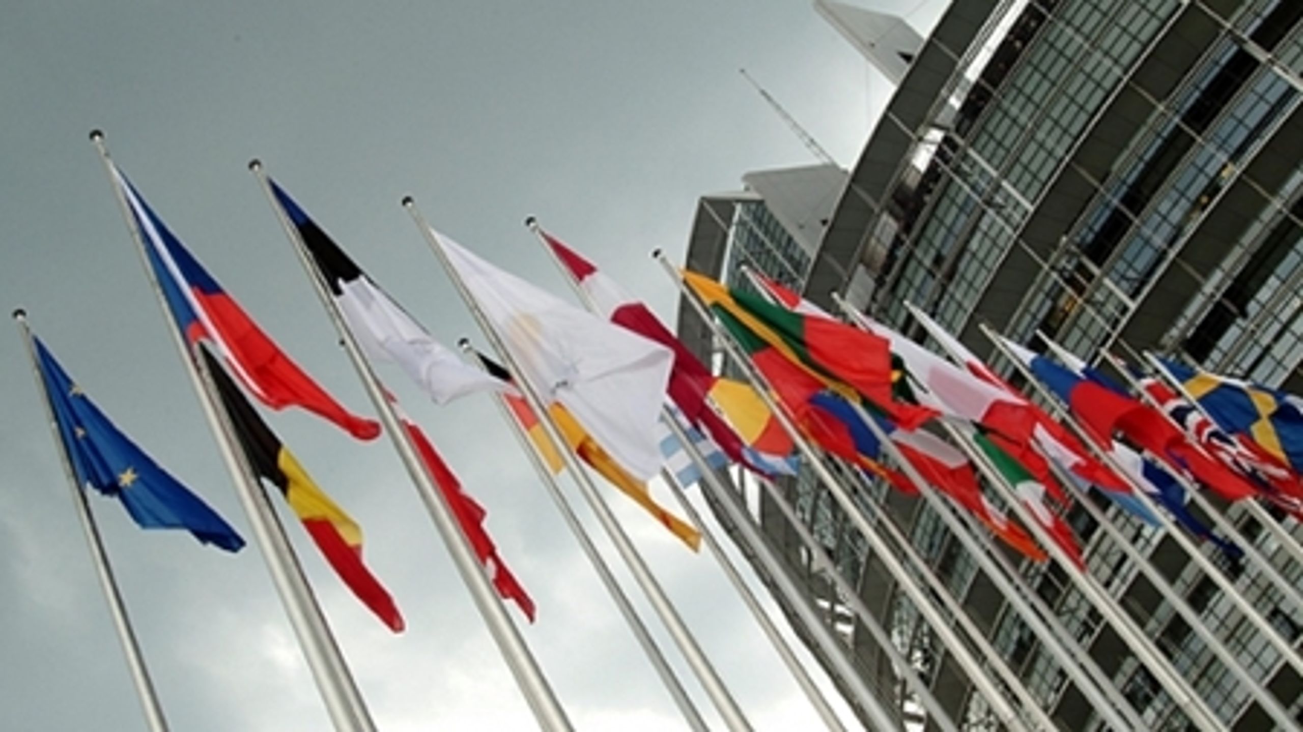 Håndbogen illustrerer EU med naive tegninger fremfor fotos, men som værktøj til at forstå og bruge EU er den helt i top.