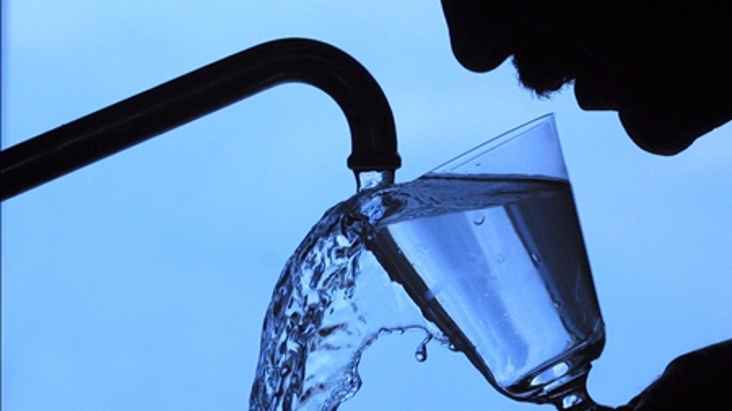 Ida Auken vil sammen med fødevareminister Mette Gjerskov (S) lave en ny pesticid-handlingsplan næste år. 