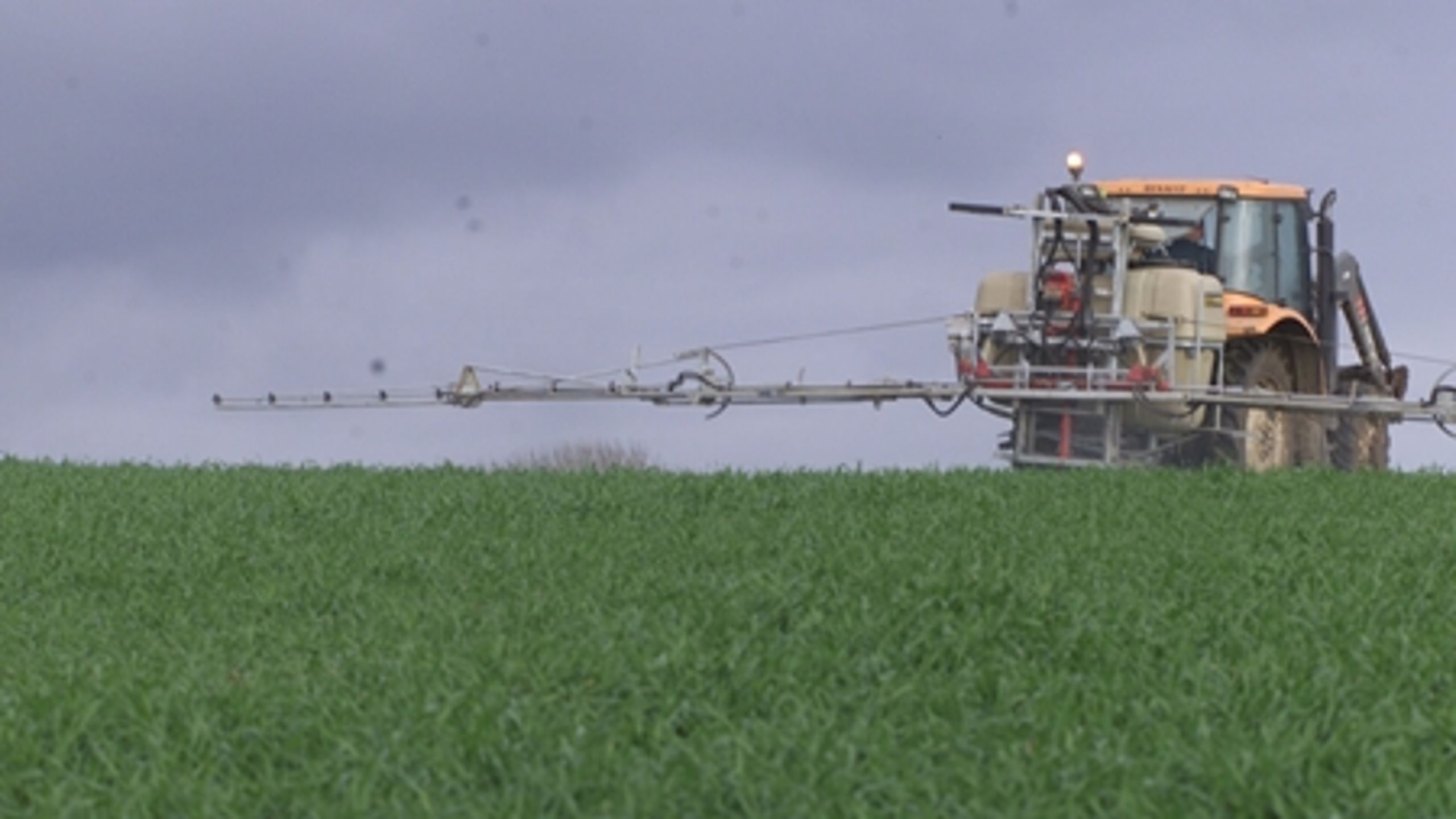 Ifølge Danmarks Naturfredningsforening er miljøminister Ida Aukens pesticid-kurs ikke hård nok.