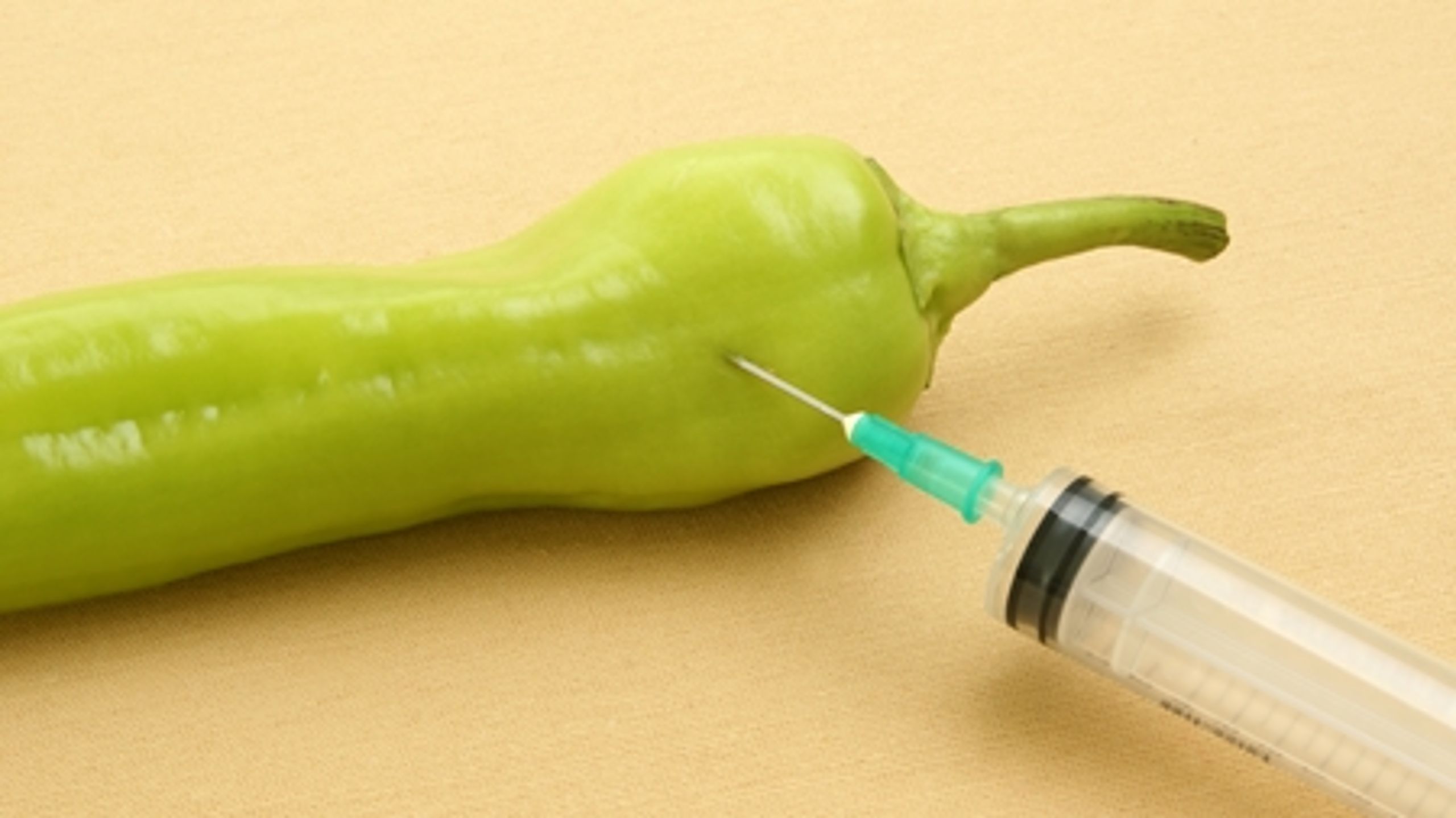 De Radikale vil kun sige god for GMO'er, hvis EU's kontrol med nye produkter bliver bedre. 