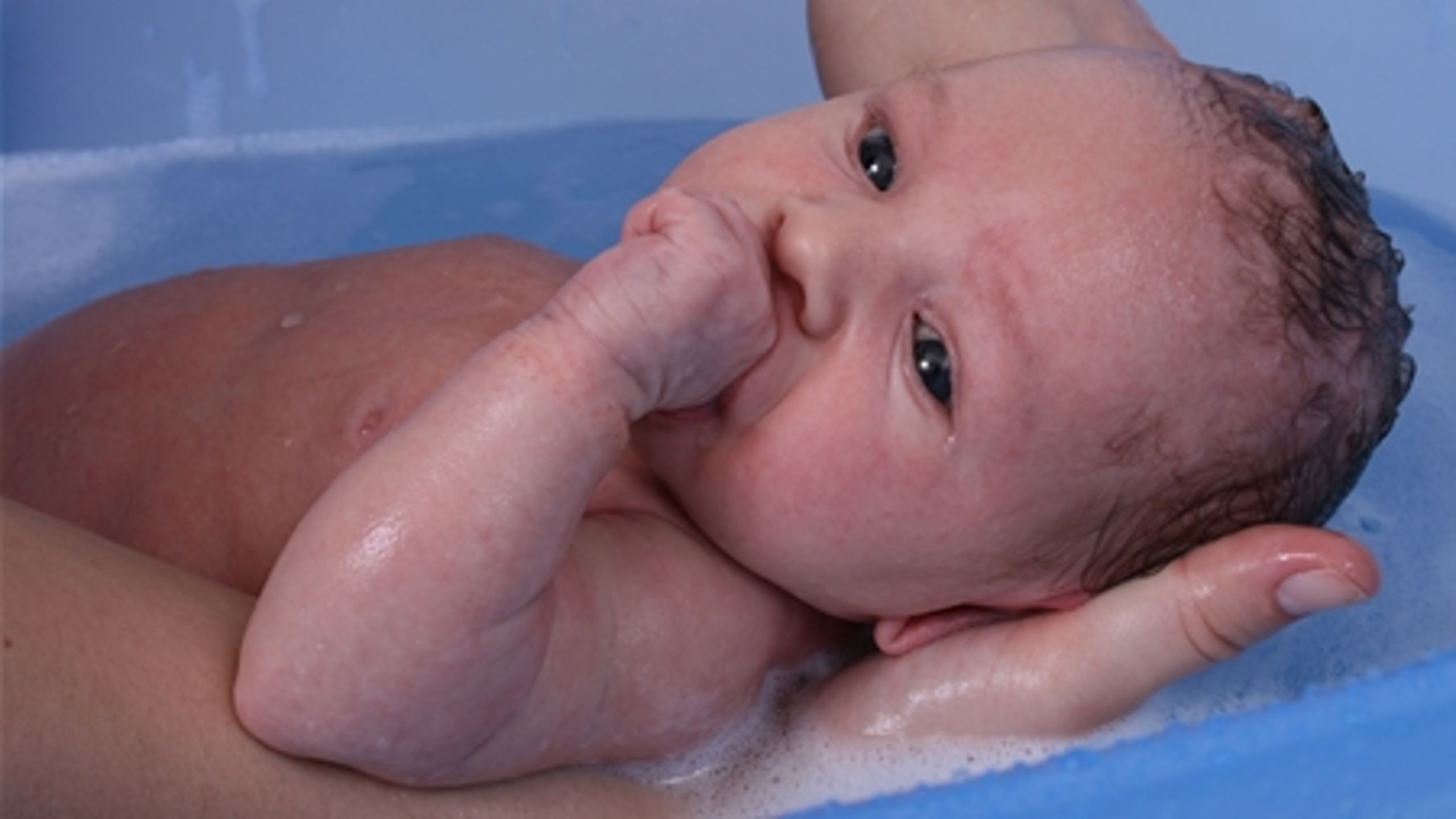 Stamceller fra navlesnorsblod kan bruges til blandt andet behandling af kræftpatienter. 