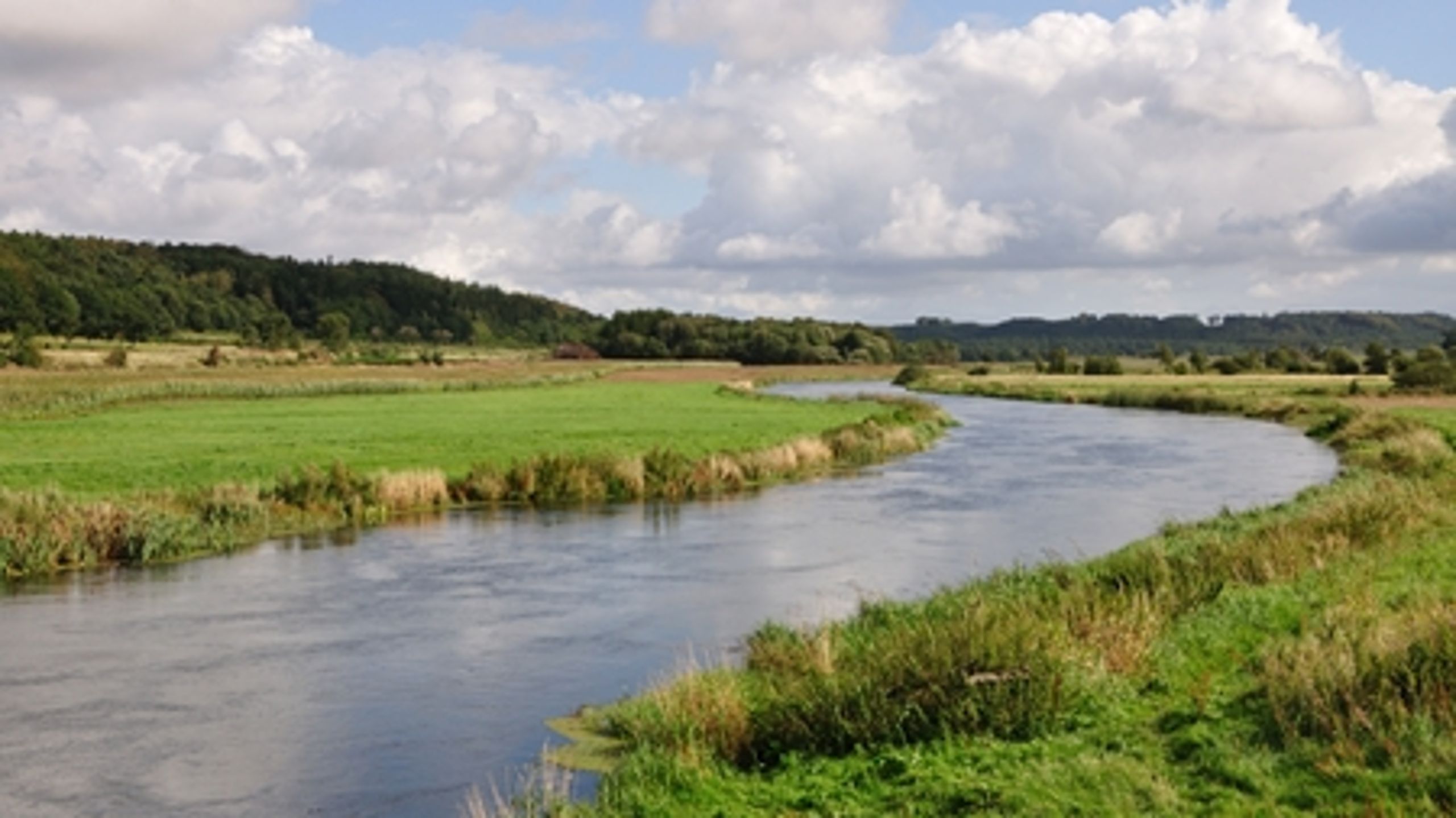 Håbet er lysegrønt: På miljø og klima står den nuværende regering langt stærkere end de borgerlige, men det kan ikke opveje regeringens nederlag på en række andre felter.