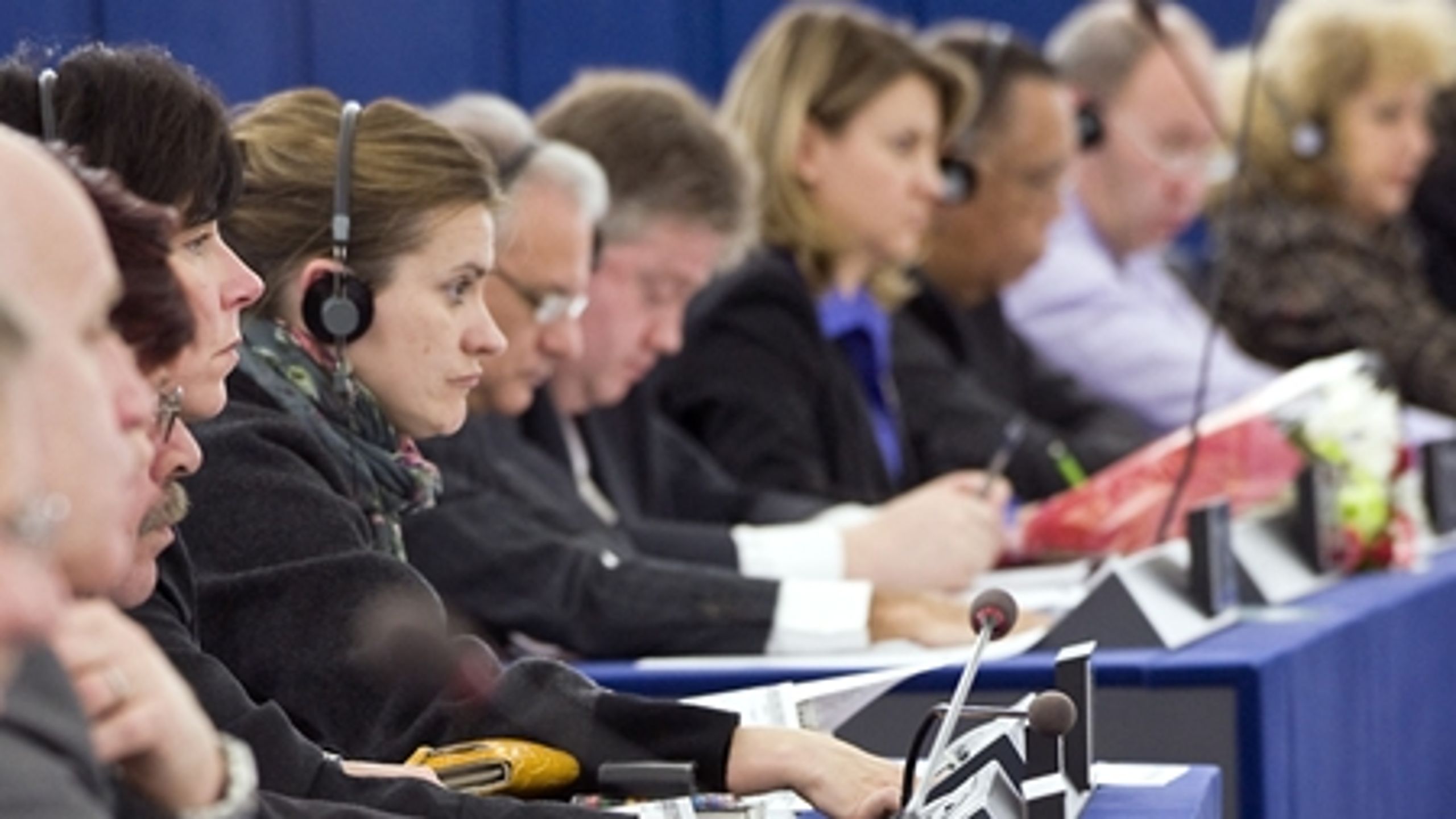 MEP'erne Christel Schaldemose (S) og den borgerlige løsgænger Anna Rosbach frygter for den grønne landbrugsudviklingen i EU.