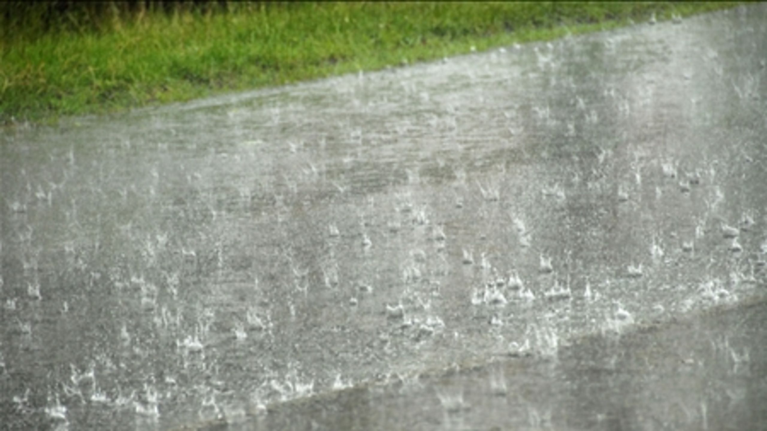Grundejere har en vigtig rolle ved kraftige skybrud. Ny rapport sætter fokus på husejernes handlemuligheder.