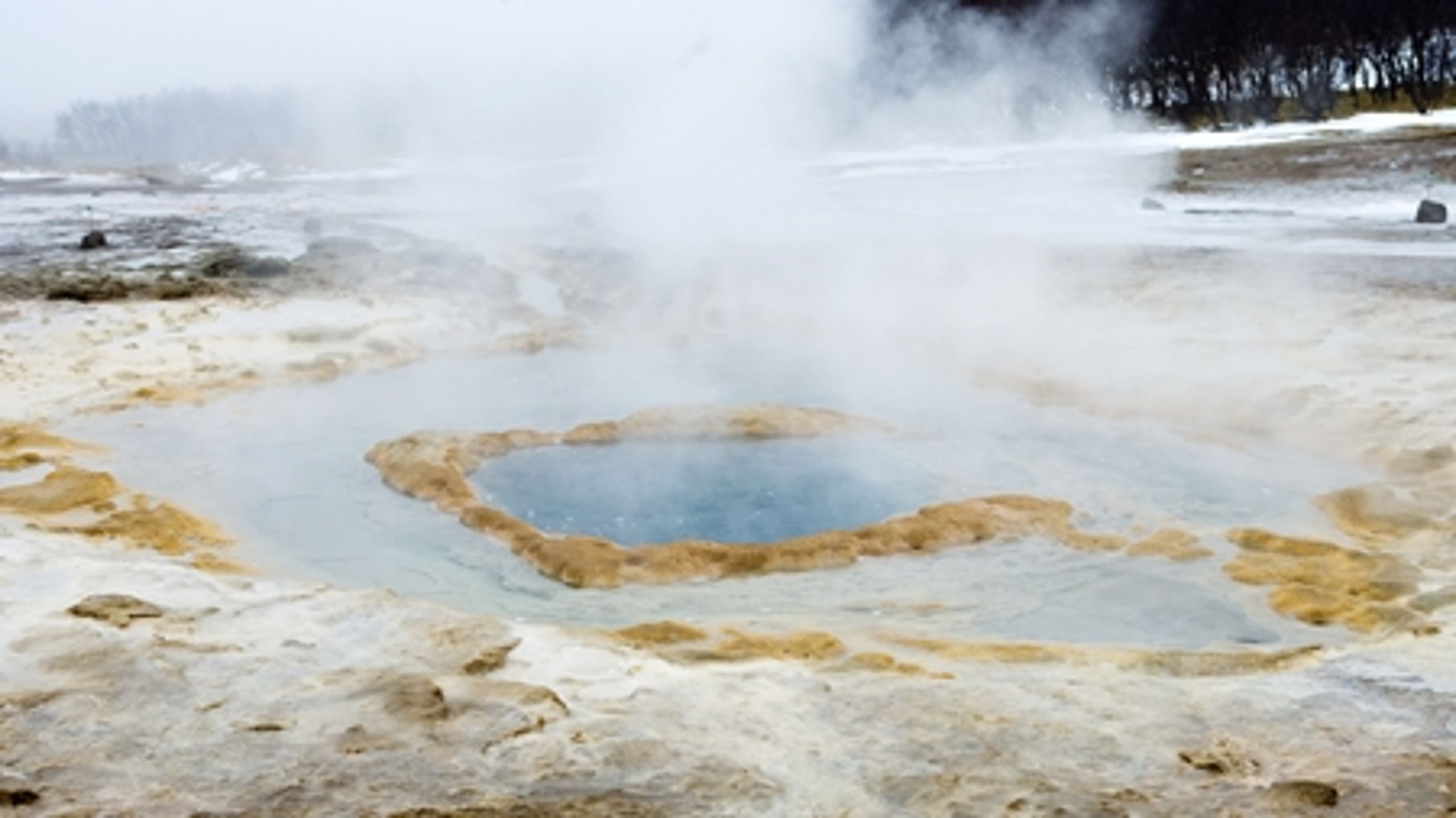 Der er ingen prisstigninger på vej for fjernvarmekunder, siger flere fjernvarmeaktører, på trods af at kun en ud af 45 ansøgninger om historiske renter er blevet trukket tilbage. 