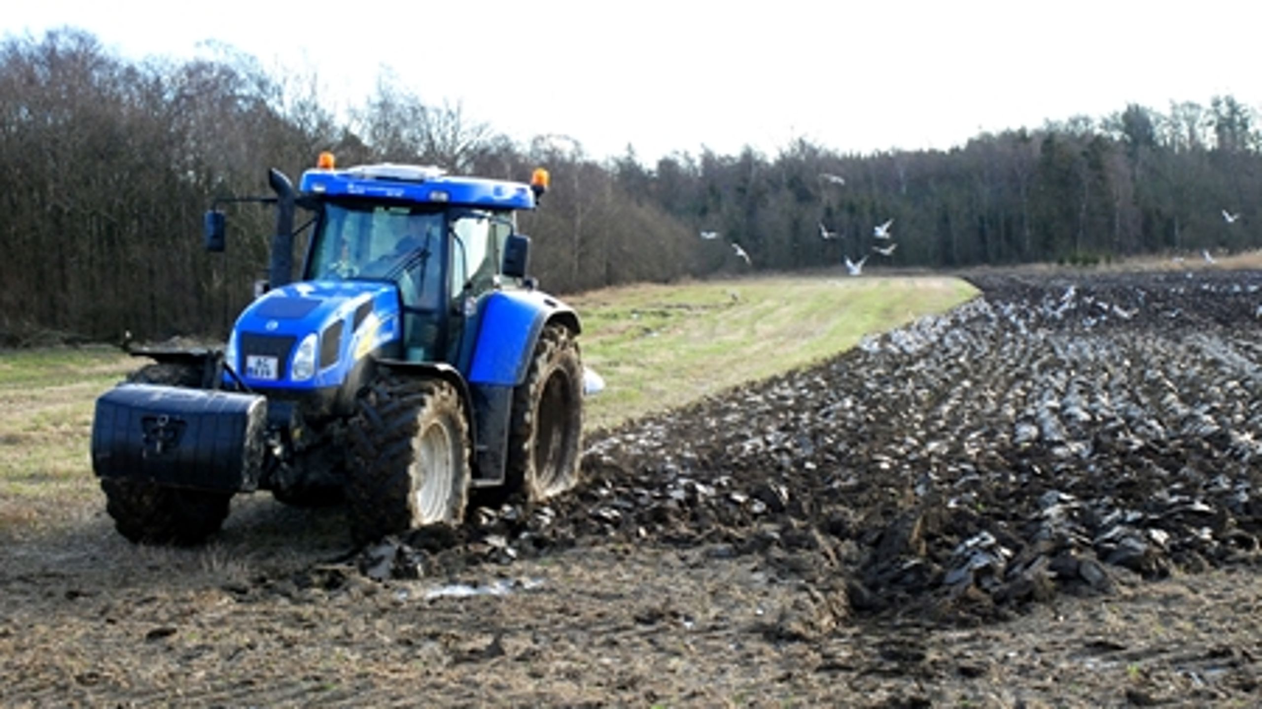 VK-regeringens liberalisering af landbrugsloven har ikke ført til nye ejerformer i sektoren.