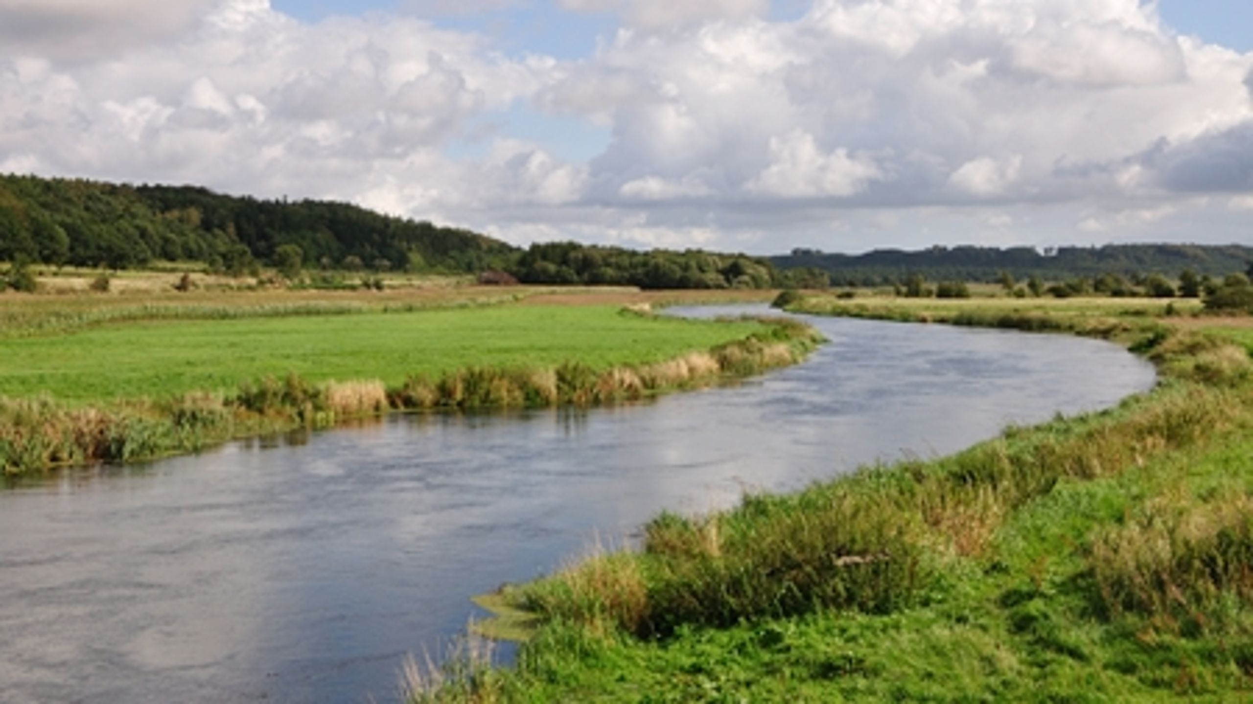 De politiske aftaler om Natur- og Landbrugskommissionen er i fokus hos mange miljøordførere.