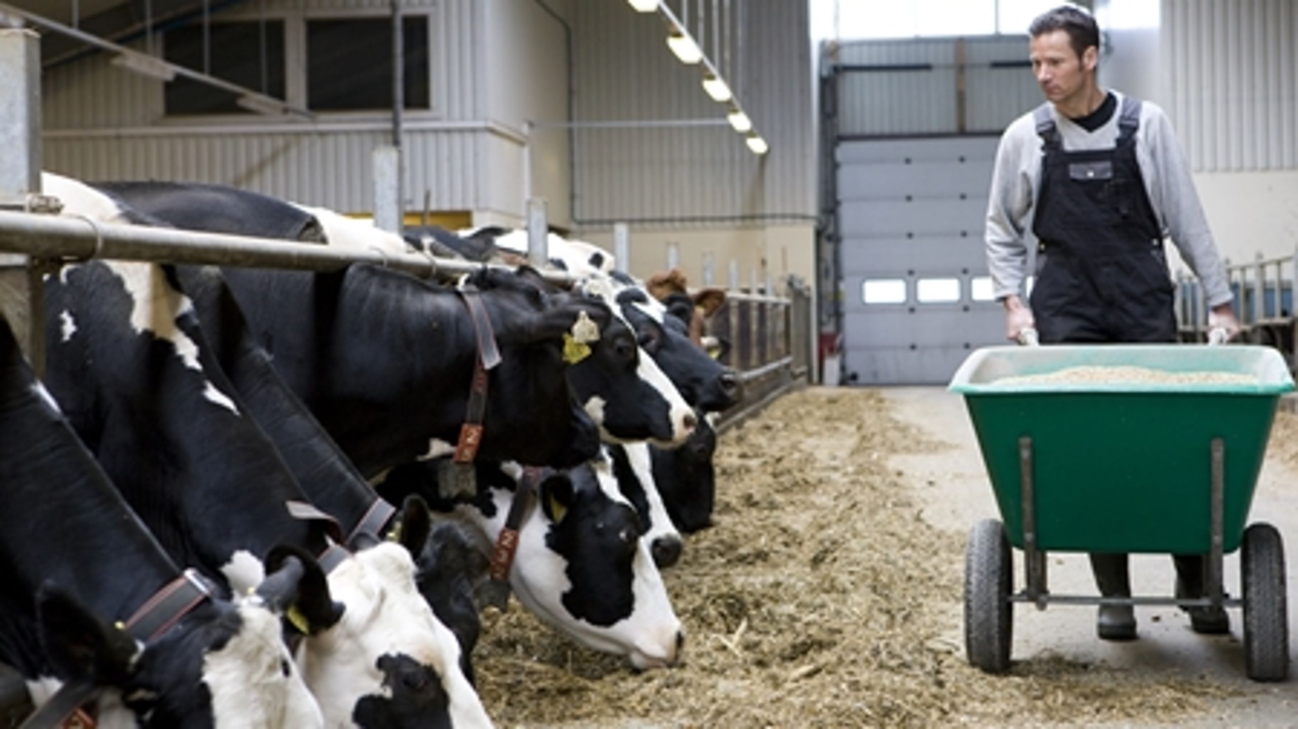 Udover at hjælpe gældsramte landmænd ud af Finansiel Stabilitet skal Landbrugets FinansieringsBank også hjælpe yngre landmænd ved generationsskifte.