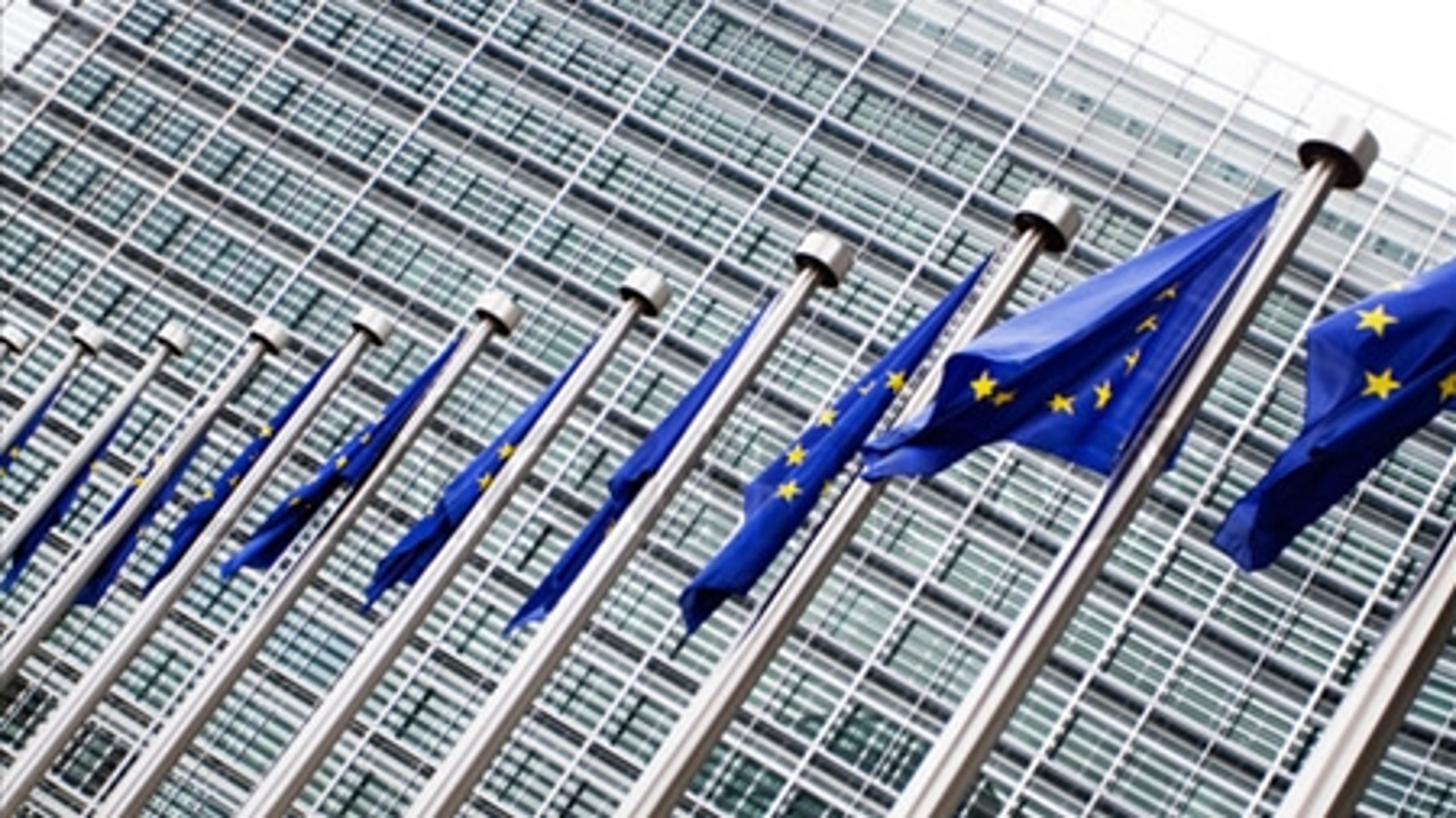 EU mangler bindende mål for energieffektivitet, mener Camilla Damsø Pedersen.