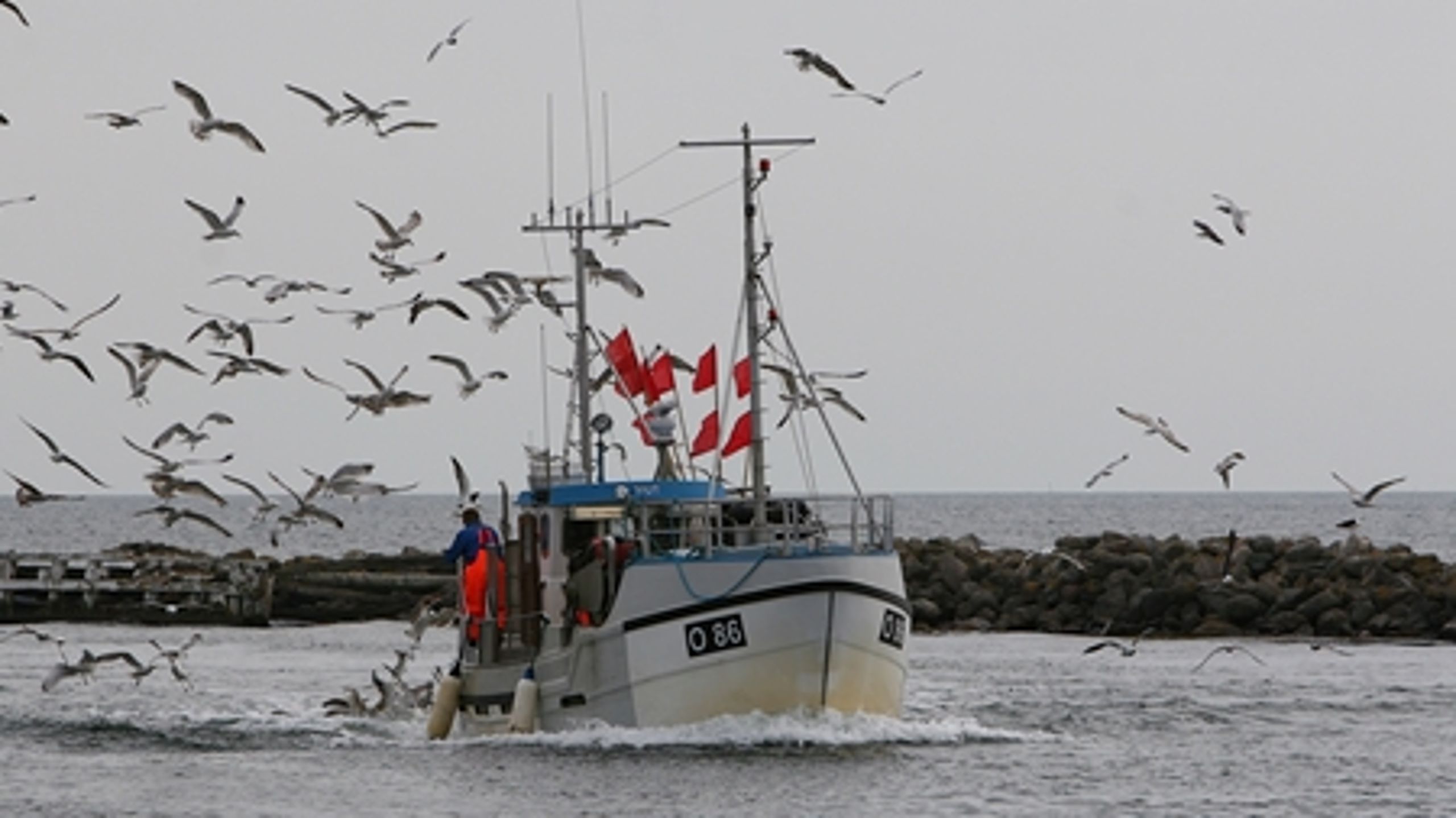 Fødevarer er meget mere end landbrug. Fiskeriet er også blevet en del af Landbrug & Fødevarers statistik for beskæftigelse i fødevareklyngen.