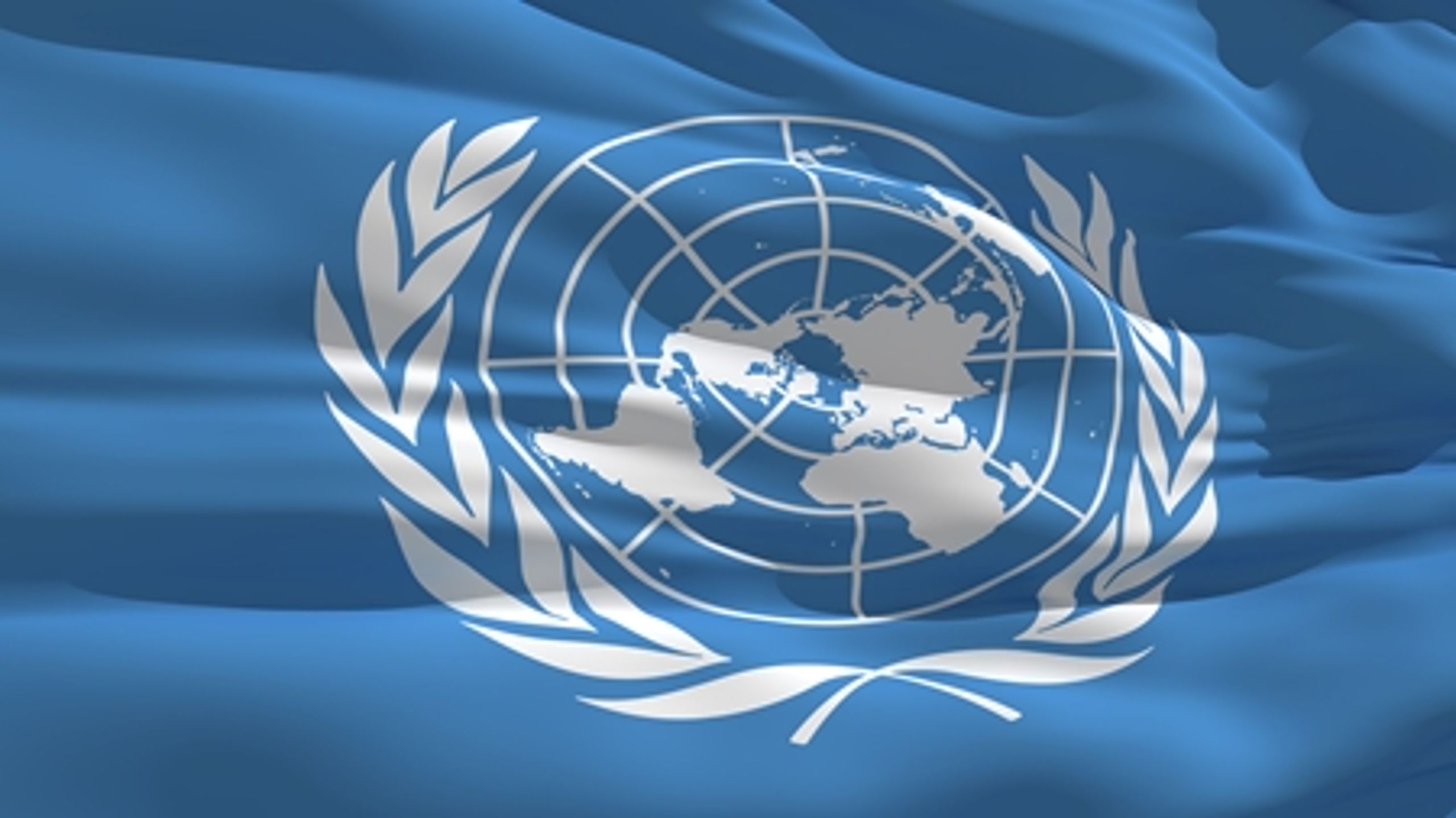 92-gruppen mener, at Danmark nedprioriterer de internationale forhandlinger om biodiversitet.