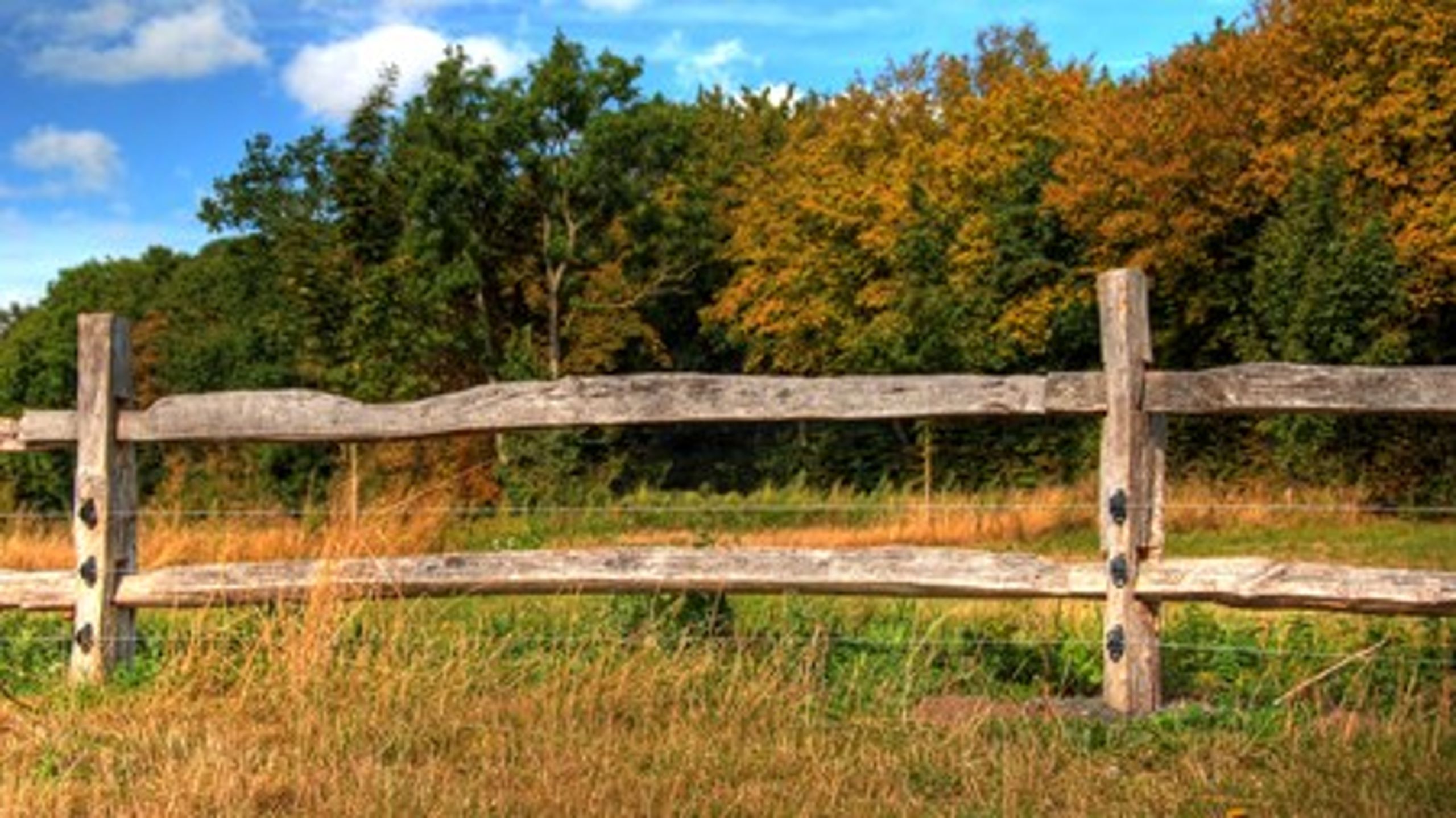 Venstres miljøordfører ser mange spændende tiltag i Naturplan Danmark.<br>