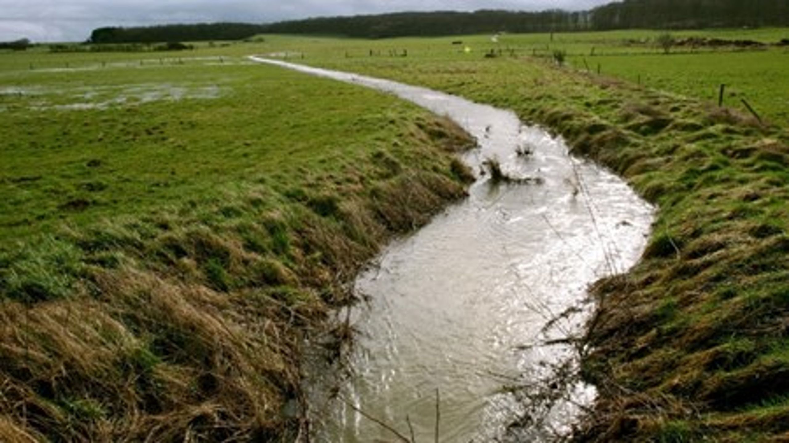 Miljøminister Kirsten Brosbøl (S) oplyser, at ændret vandvedligeholdelse, også kaldet reduceret grødeskæring, alligevel ikke vil indgå som en aktiv indsats i vandplanerne for første planperiode. Derfor er hun meget uforstående over for kritik af netop dette område.&nbsp;