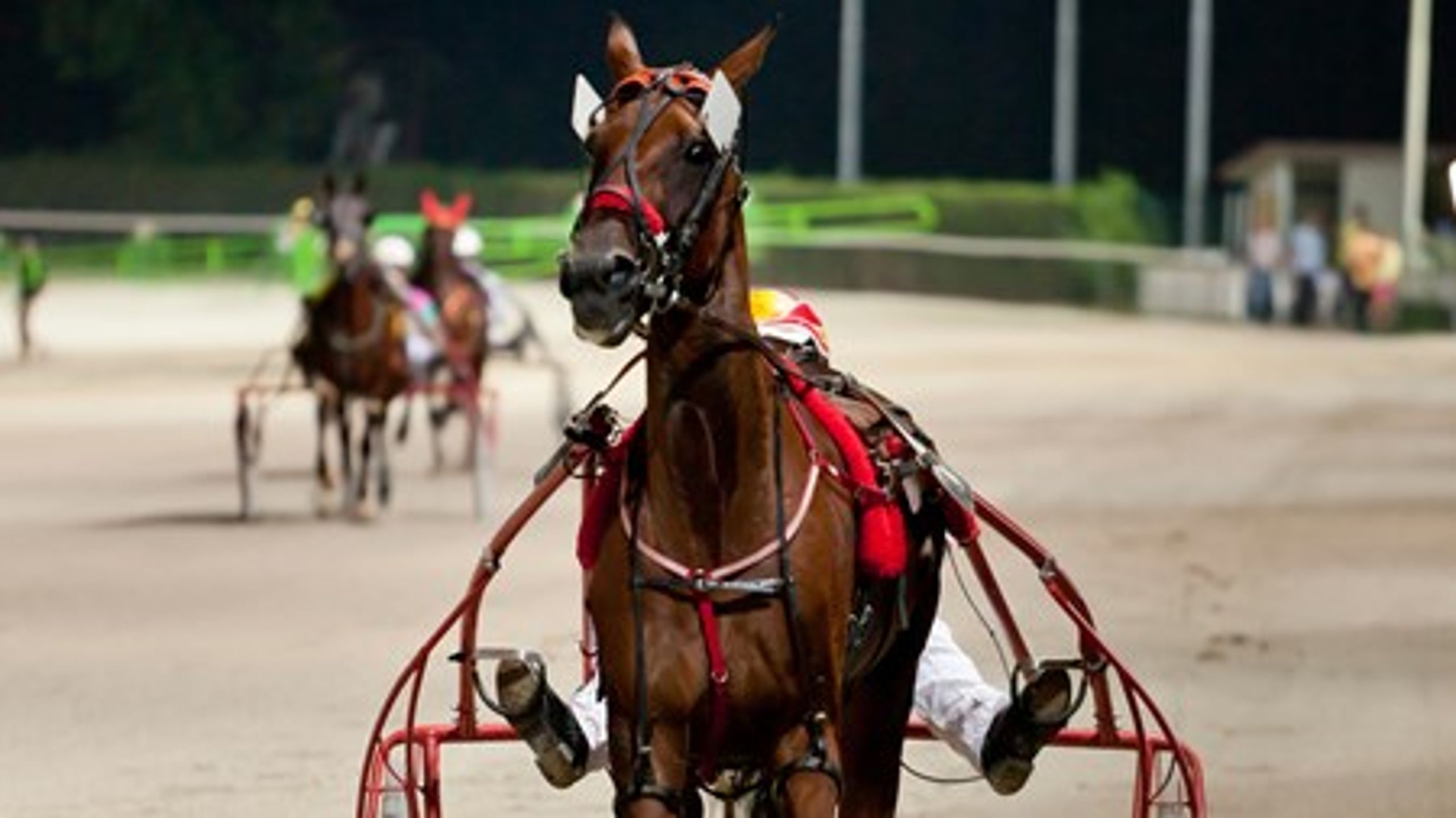 Dansk hestesport er truet på sin eksistens&nbsp;–&nbsp;og må&nbsp;nu gå tiggergang til kommuner med trav- og galopbaner for at skaffe penge til at overleve de næste to år.