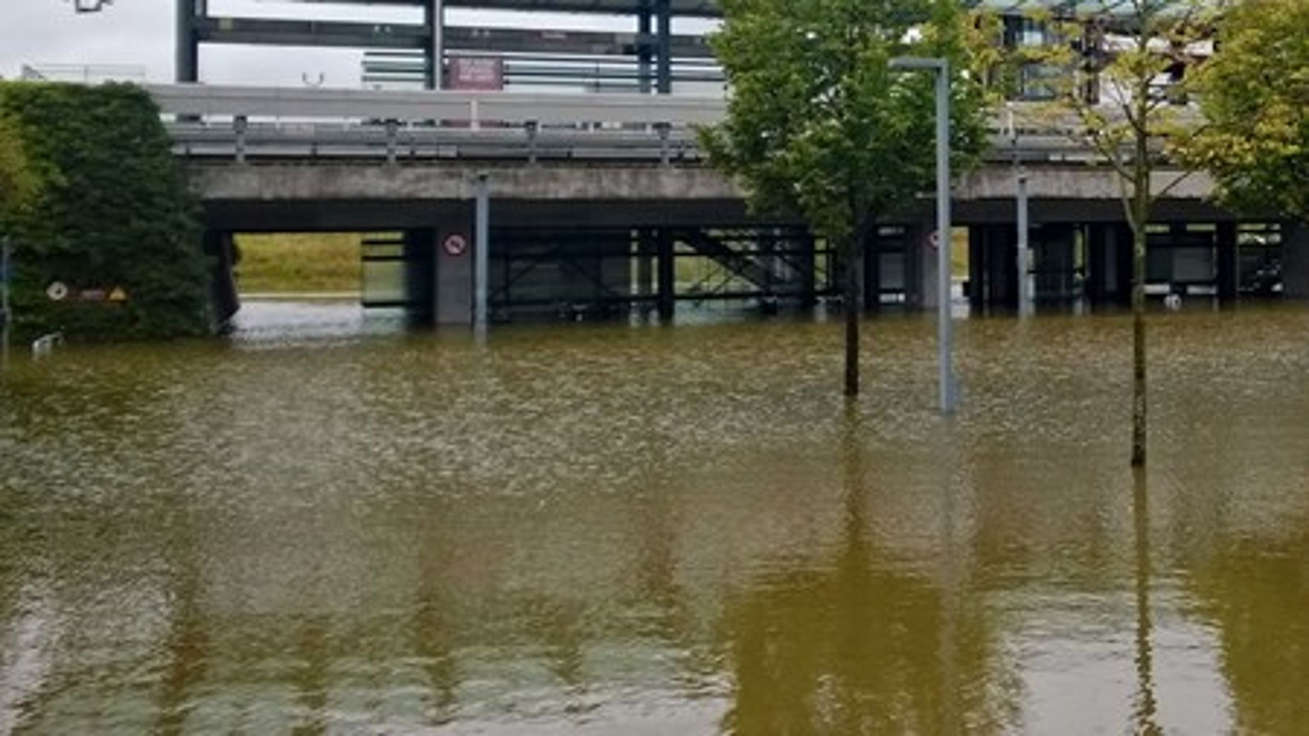 Oversvømmelser i København er flere gange gået ud over musumsgenstande i kældermagasiner. Det koster nu millioner af kroner i afrensning af skimmelsvamp.