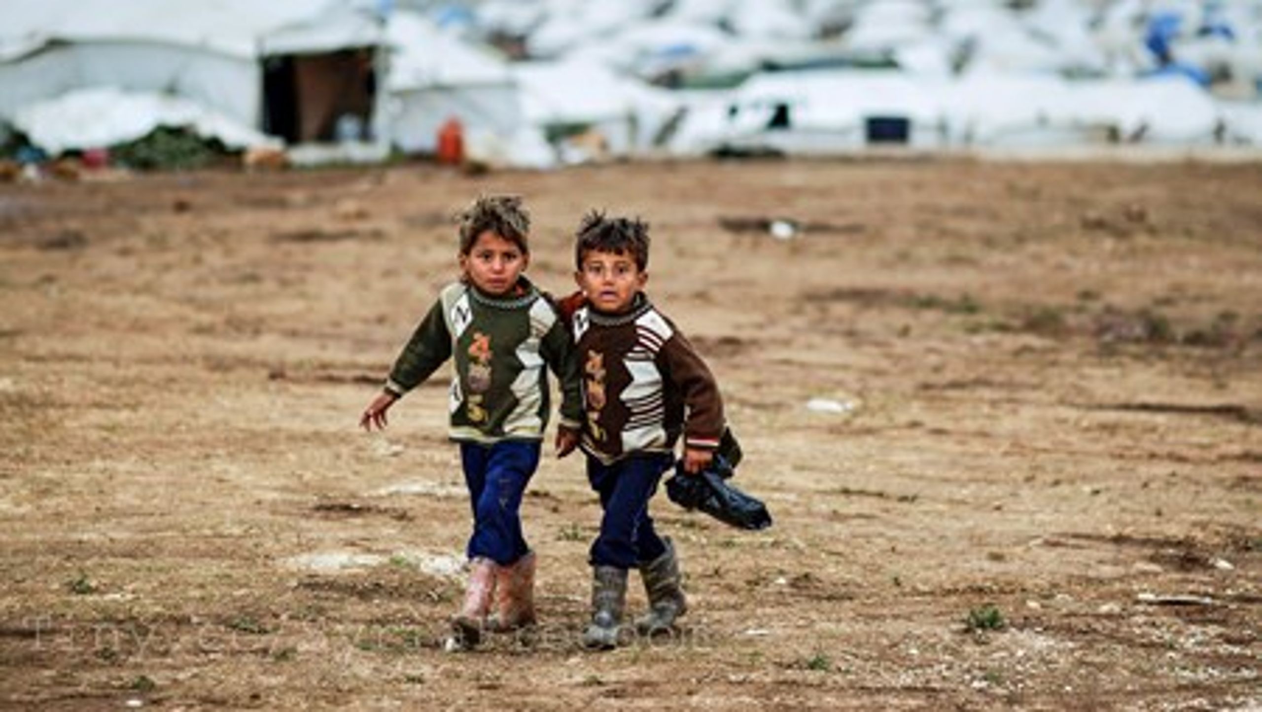 Antallet af asylansøgere fra Syrien&nbsp;nåede op over 7.000 i 2014. De fleste af dem forventes at få asyl på grund af borgerkrigen i Syrien.