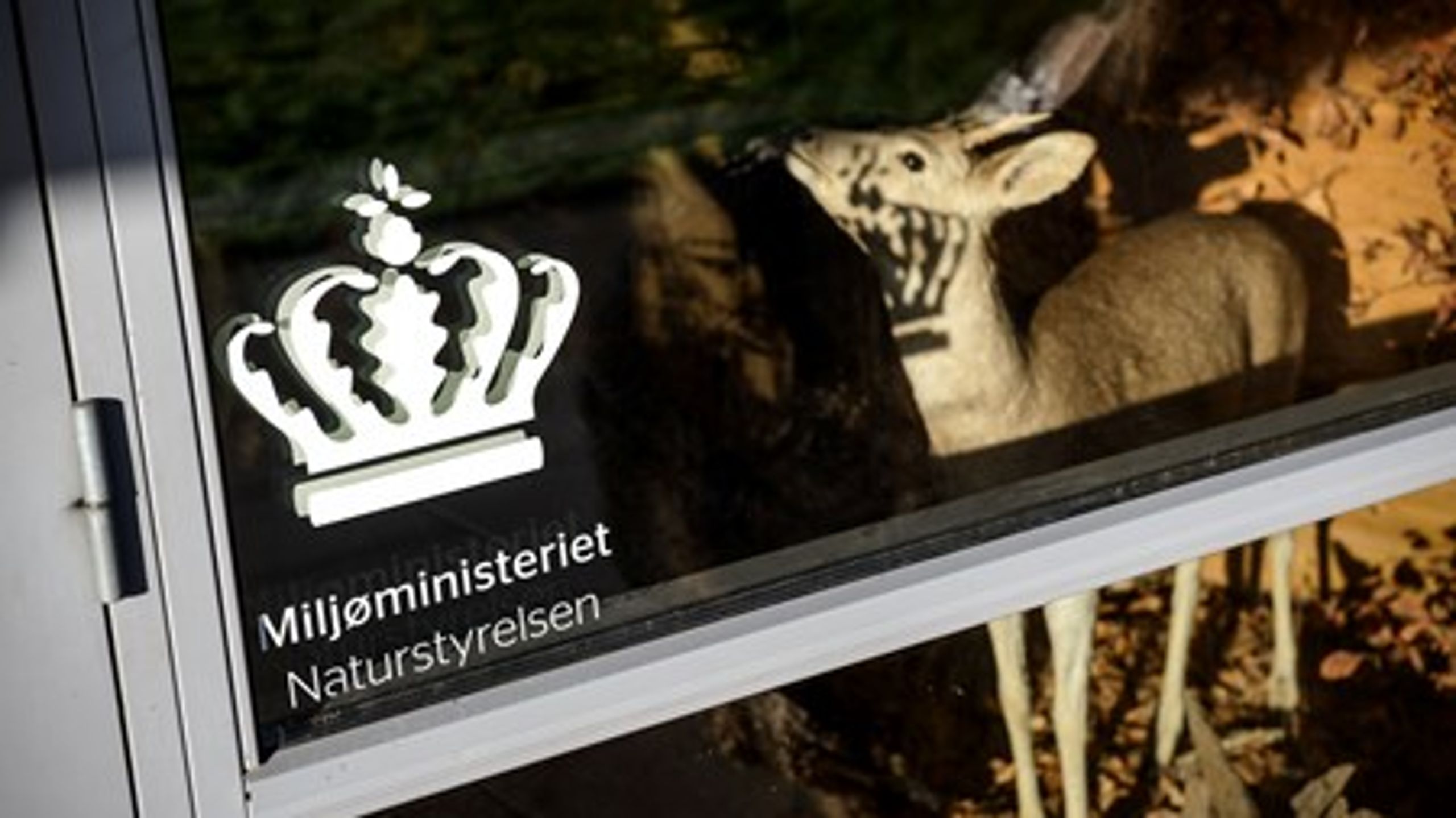 Naturstyrelsen er en af de statslige myndigheder, som DF gerne ser bliver flyttet fra København til provinsen.&nbsp;