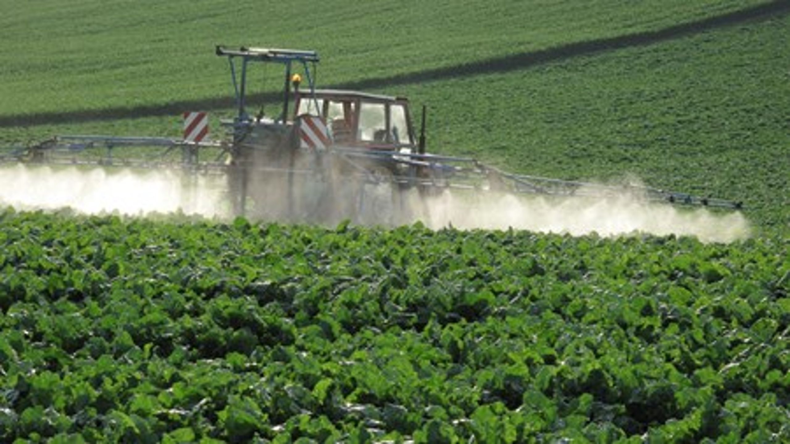 Advokat og EU-lektor Hans Sønderby Christensen og fagdirektør i Bæredygtigt Landbrug Jørgen Evald går i rette med professor&nbsp;Helle Tegner Ankers vurdering af, at mere gødning i landbruget&nbsp;er i strid med EU-reglerne.