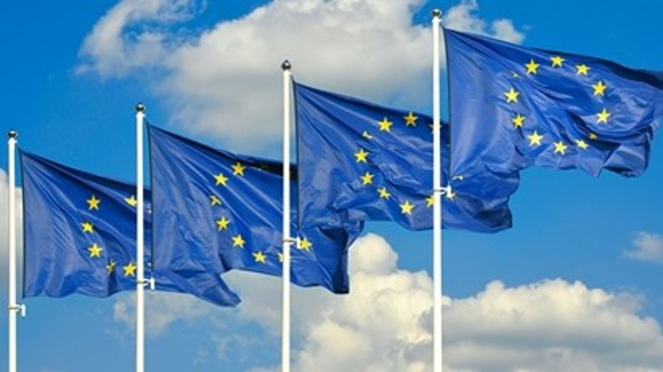 Danskerne skal i stemmeboksen&nbsp;3. december for at bestemme retsforbeholdets fremtid.&nbsp;