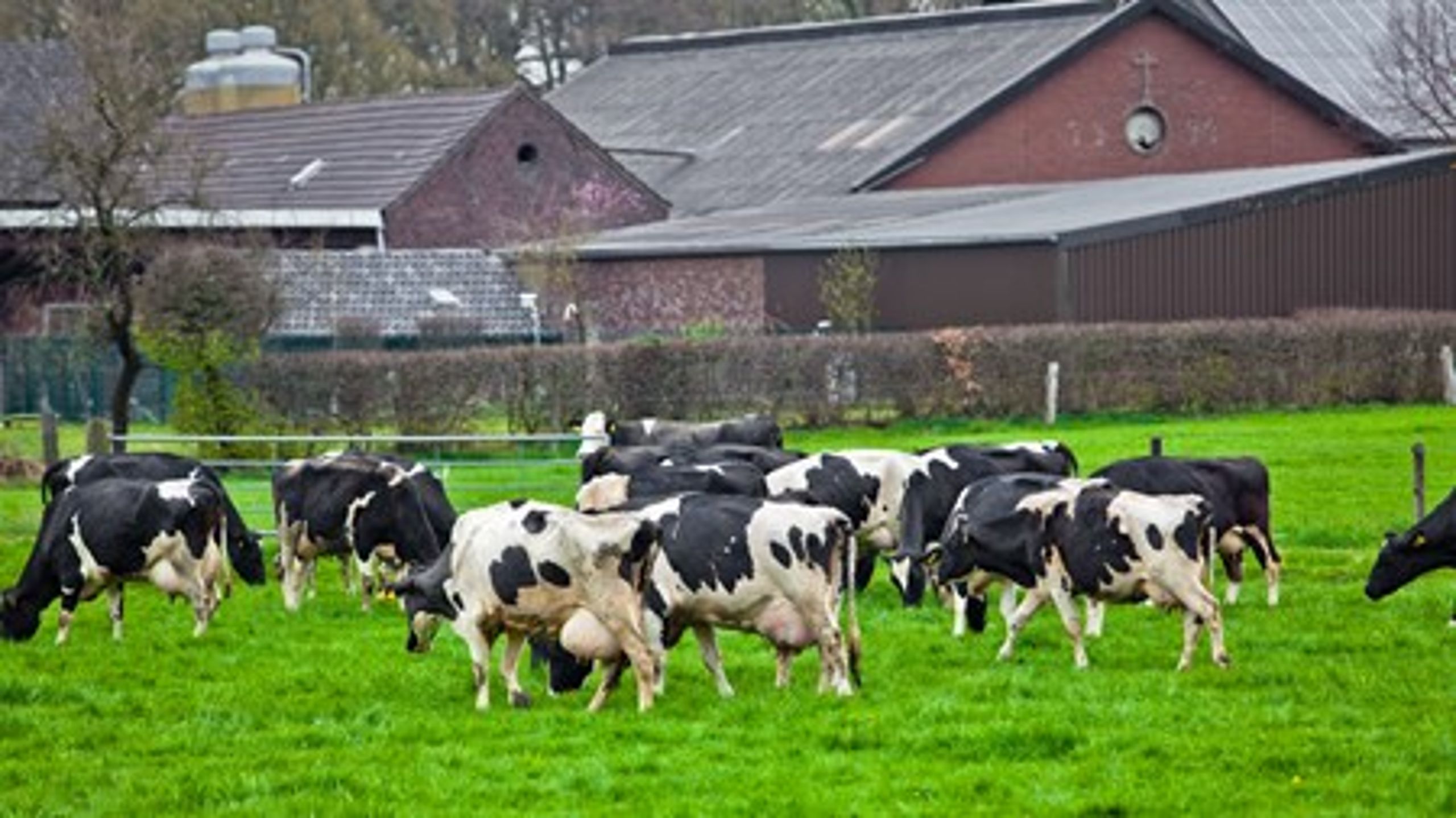 Regeringen vil med sin&nbsp;vækstplan skabe udvikling i hele landet&nbsp;–&nbsp;blandt andet skal&nbsp;landbruget have en håndsrækning.&nbsp;&nbsp;