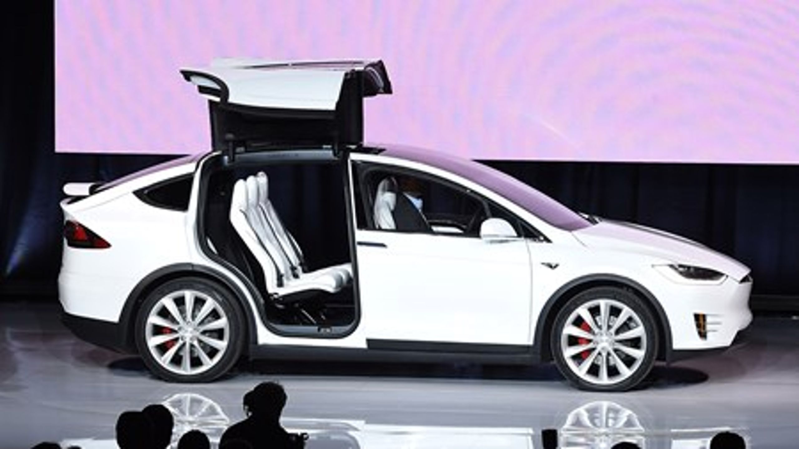 Problemet med Teslaen er, at den er&nbsp;blevet en samfundsøkonomisk usandsynlig dyr løsning på grøn transport, når den sælges uden afgifter, skriver&nbsp;Peter Stigsgaard, direktør i EOF.