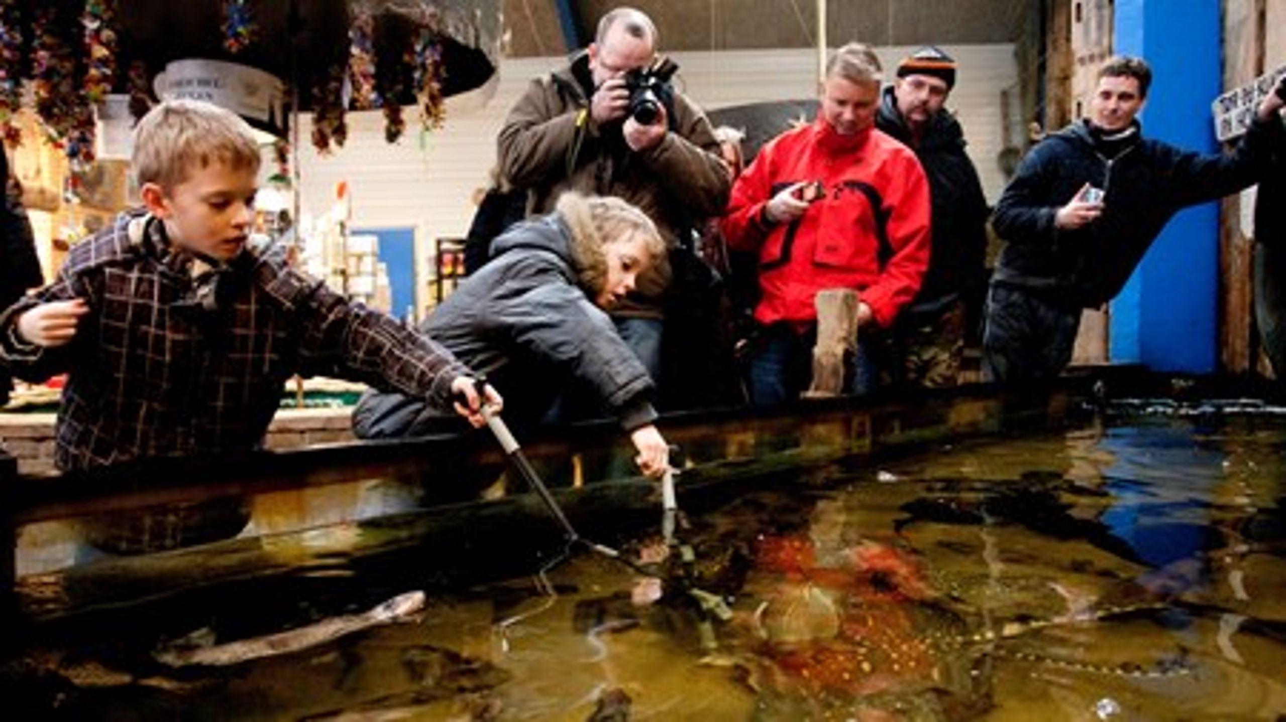 JyllandsAkvariet i Thyborøn giver unge med for eksempel autisme eller ADHD en ekstra chance på arbejdsmarkedet. Virksomheden er en af de 31 deltagere i Den Sociale Kapitalfonds programmer.&nbsp;