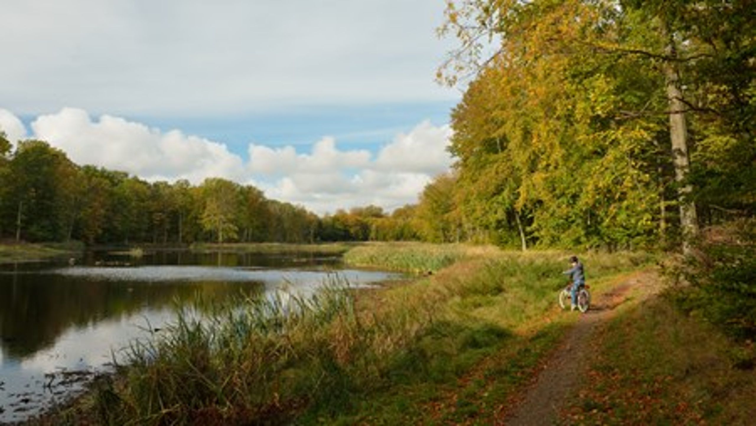 I sidste ende er politikerne statens bestyrelse, og det kræver omtanke at sidde der, skriver Jordbrugsakademikernes næstformand, Carsten Ladegaard Jakobsen.