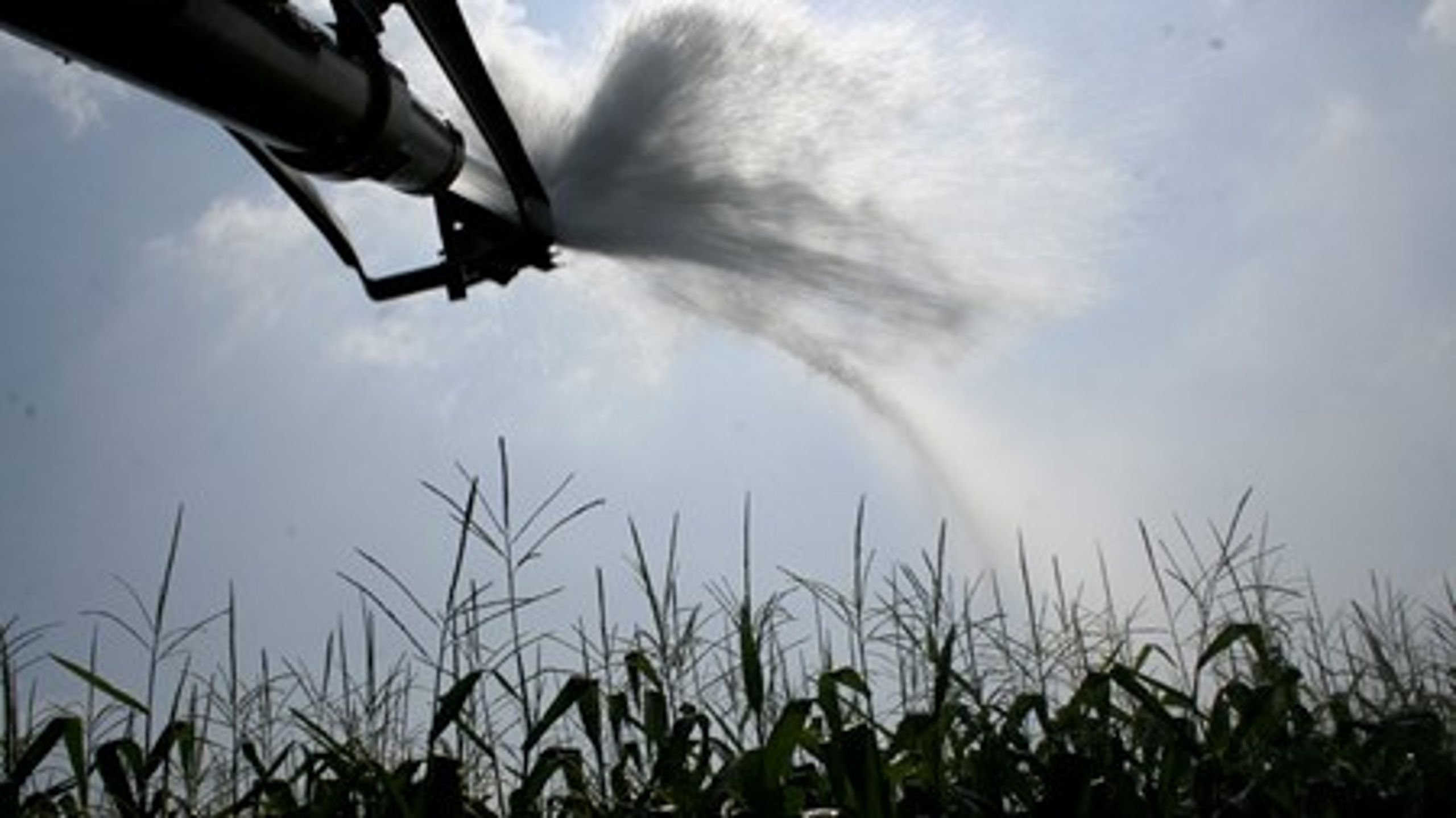 Det seneste store opgør mellem miljø- og erhvervsinteresser kom i striden om landbrugets øgede gødskning og&nbsp;brug af sprøjtemidler.<br>