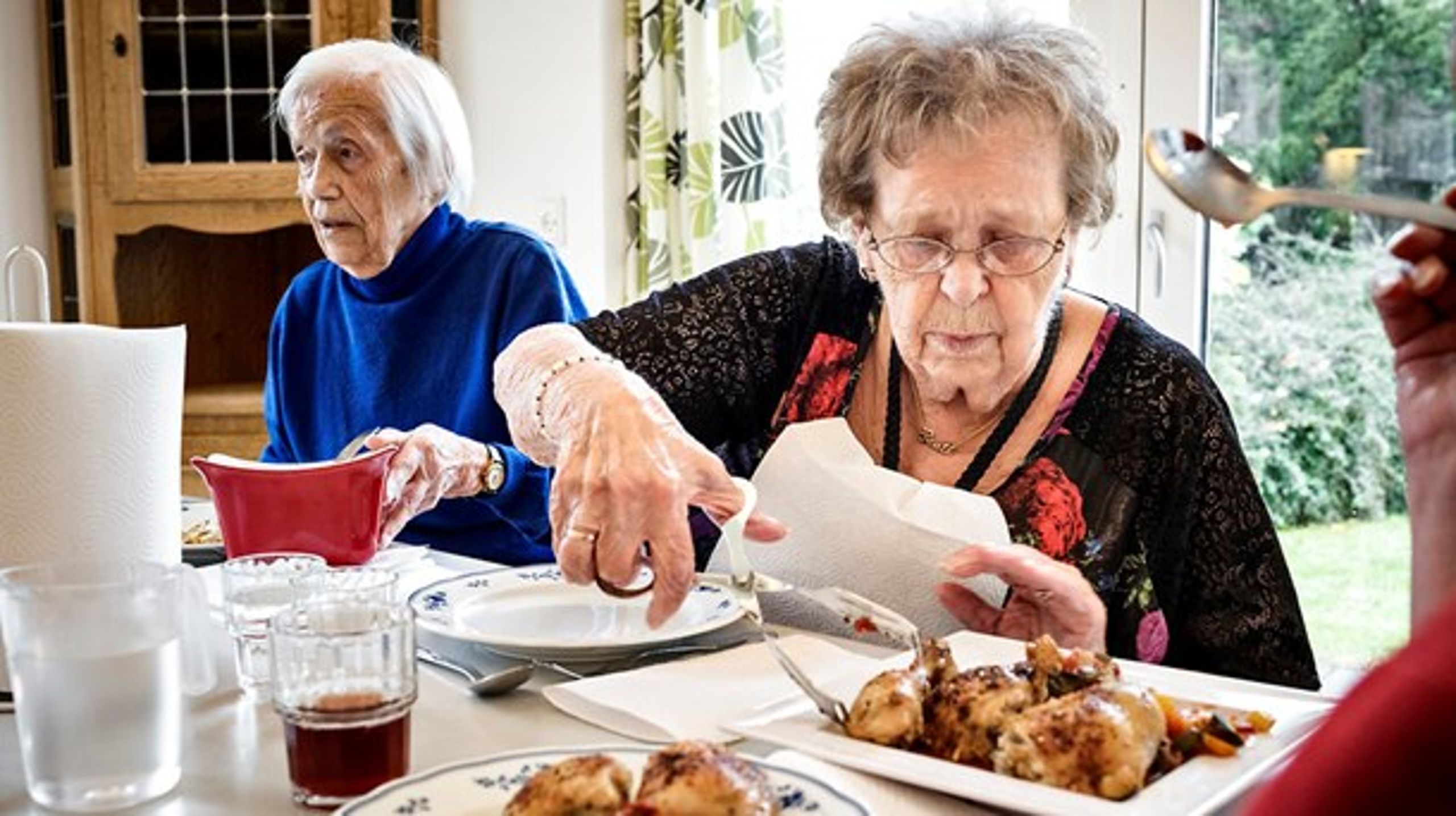 i 2040 vil der være 2,5 så mange ældre som unge vælgere.