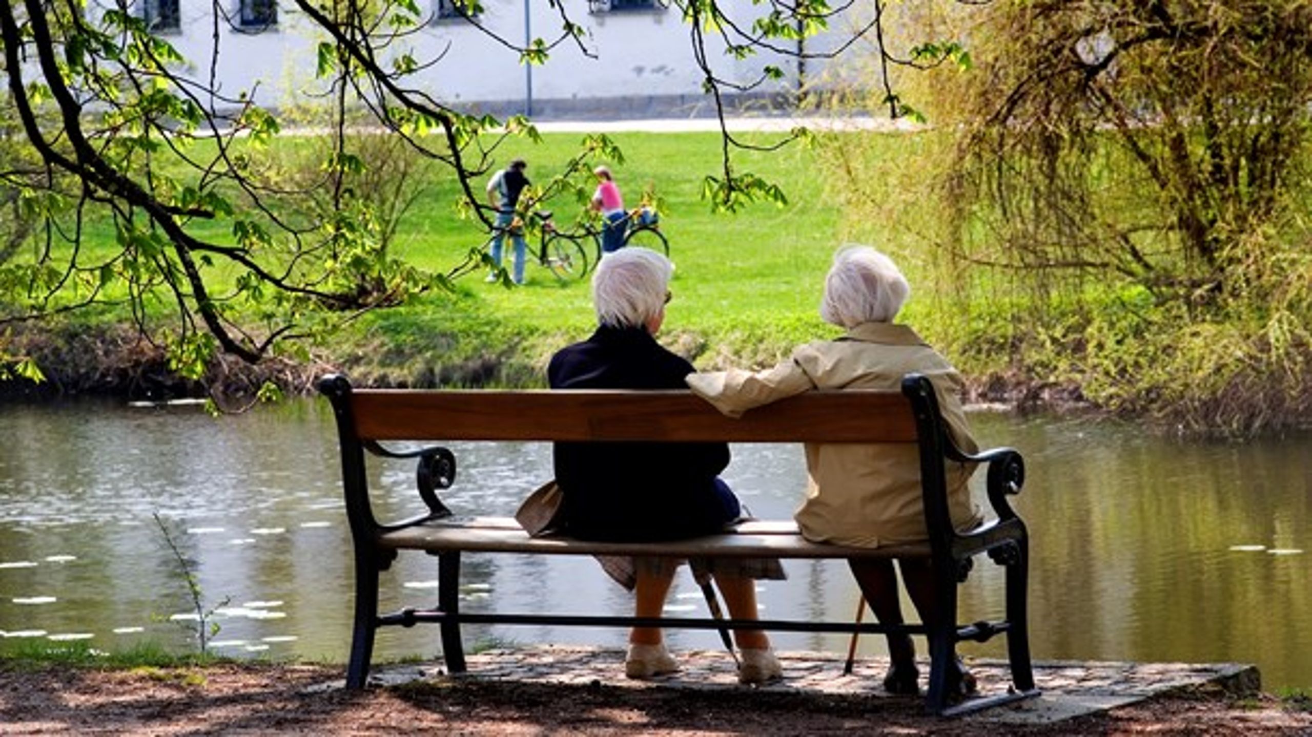 Sammenhængen mellem levealder og pensionsalder&nbsp;vil blive helt suspenderet for aldersgrupper i 50'erne og 60'erne, hvis&nbsp;pensionsalderen hæves med kort varsel endnu en gang.&nbsp;