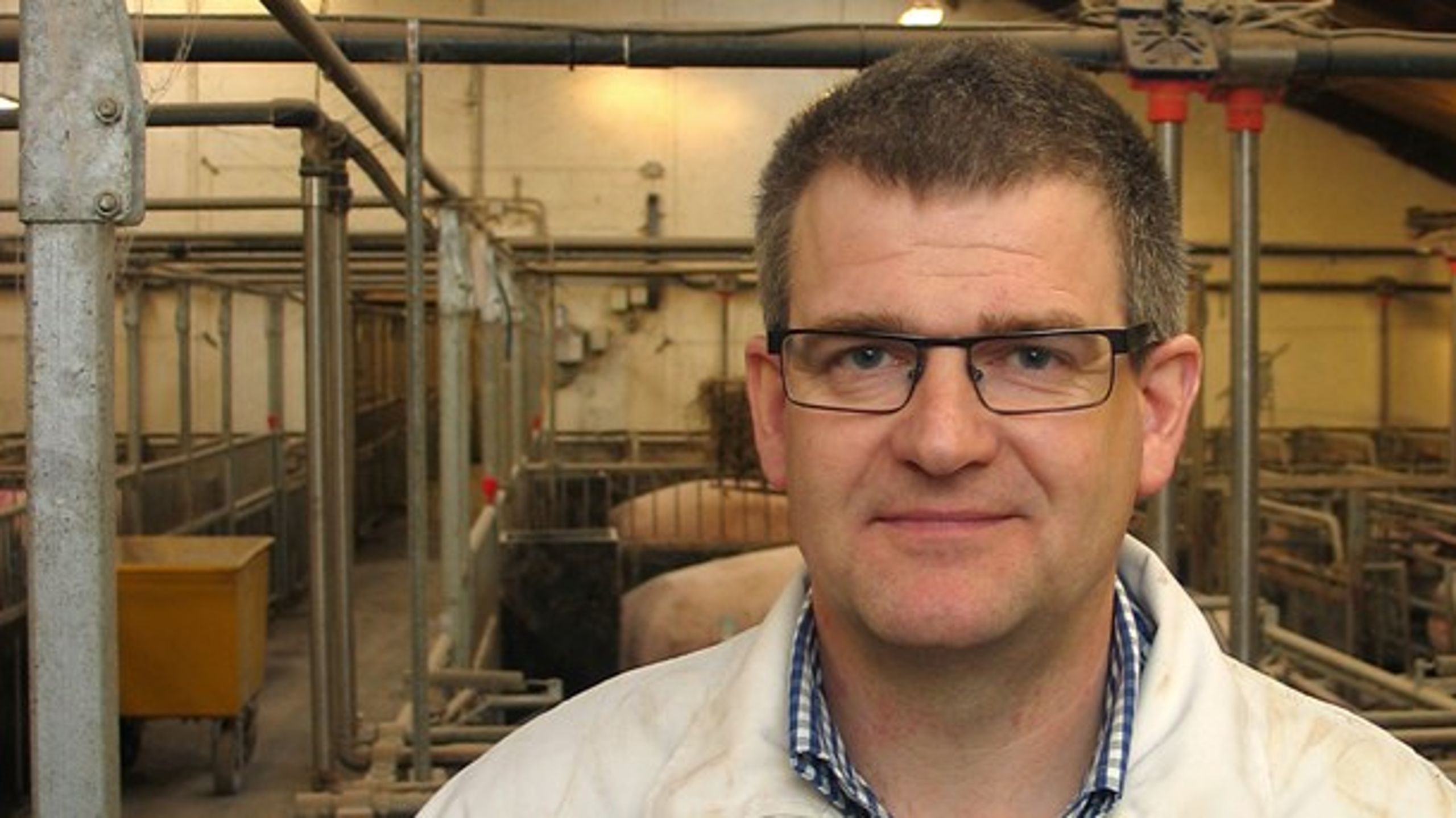 Ultimative krav til dyrevelfærdsforbedringer kan fra et globalt synspunkt føre til
en samlet lavere dyrevelfærd, lyder advarslen fra Danske Svineproducenter. 

<br>